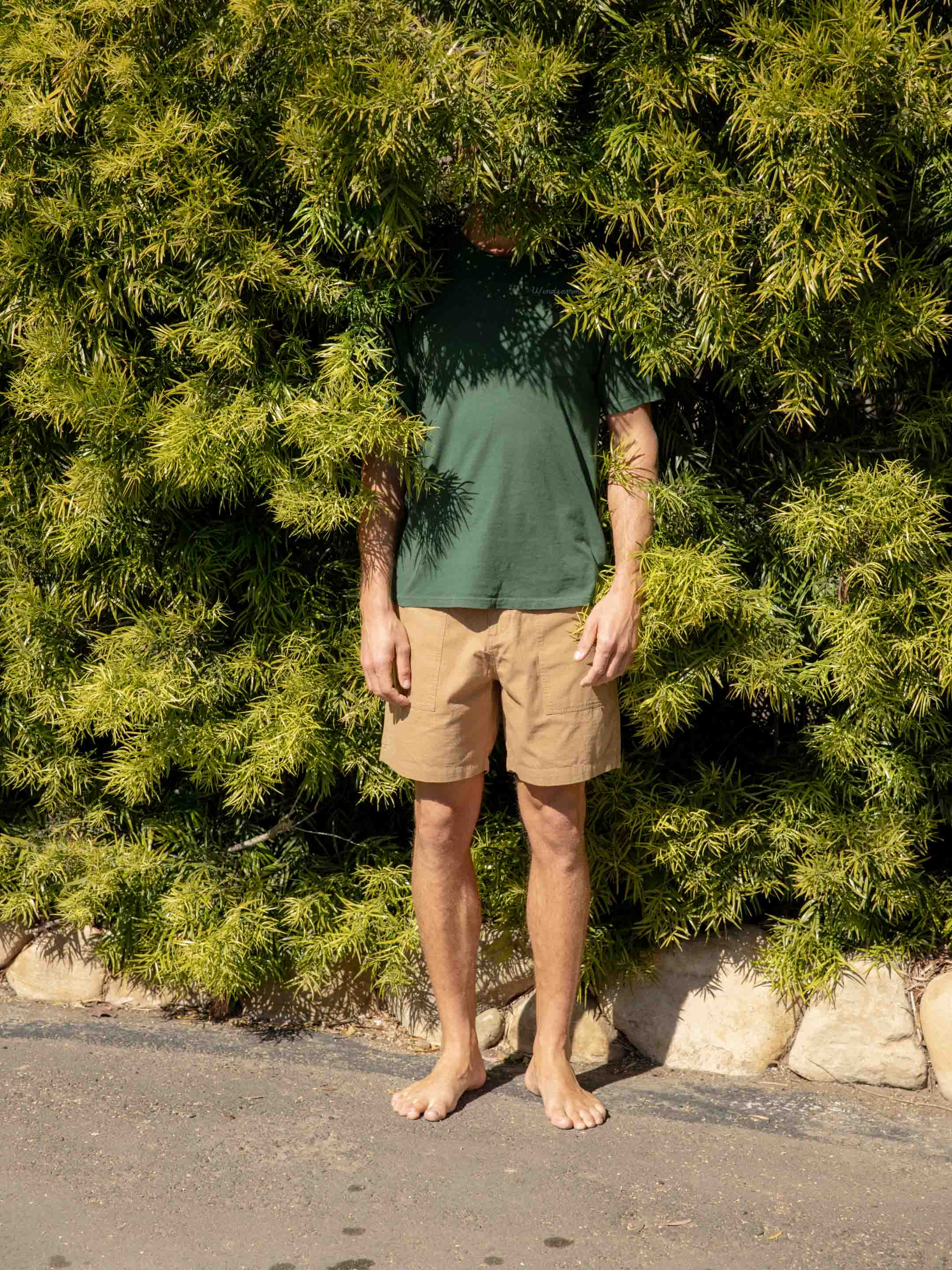 Salvador Shorts - S - Mollusk Surf Shop