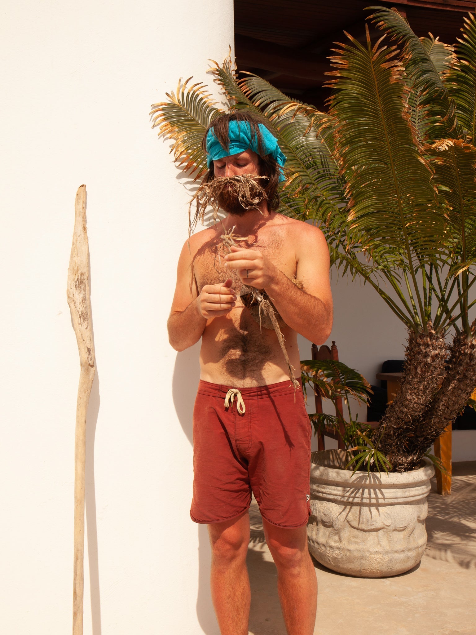 Scallop Trunks - 30 - Mollusk Surf Shop