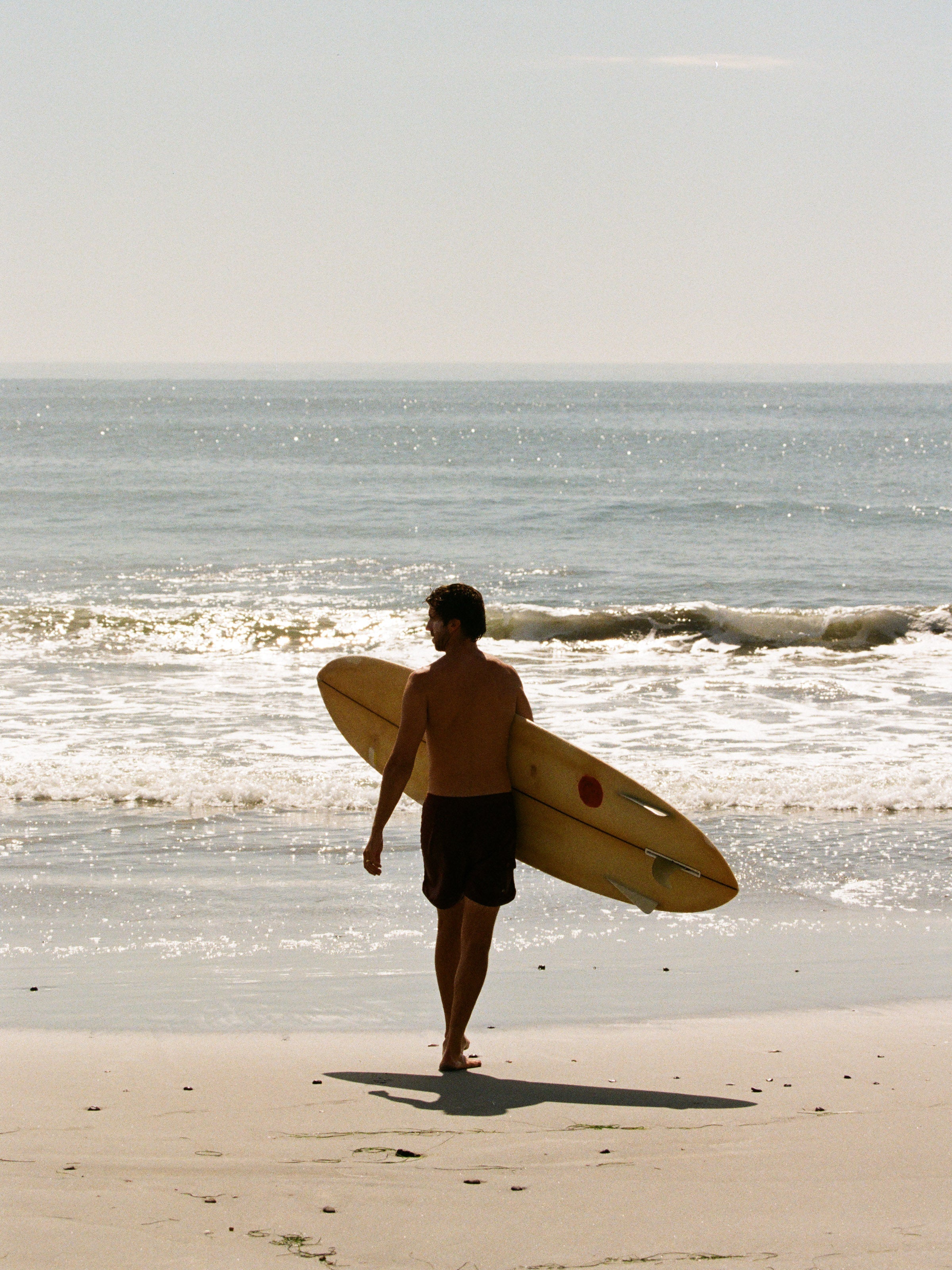 Scallop Trunks - 30 - Mollusk Surf Shop