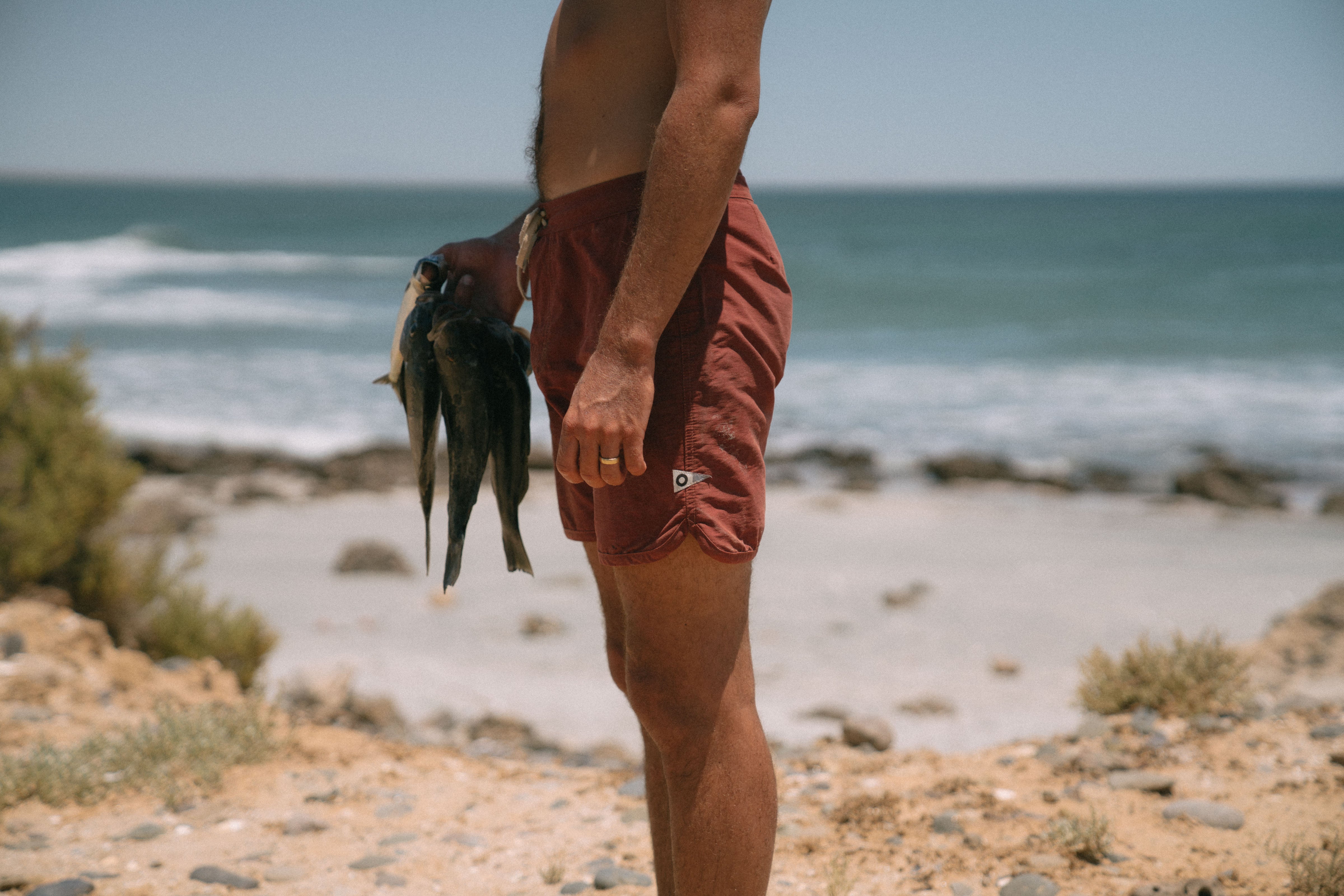 Scallop Trunks - 30 - Mollusk Surf Shop