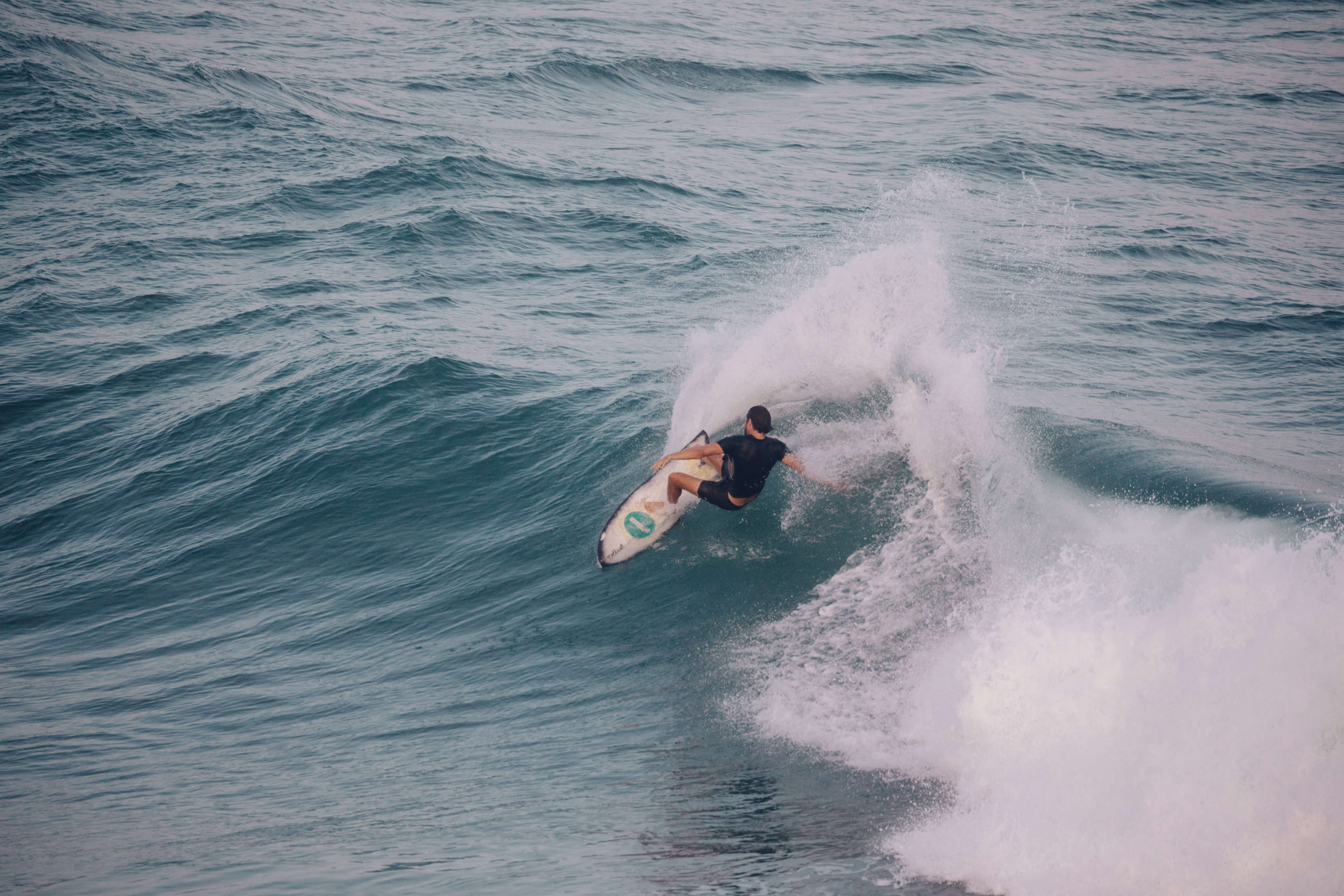 Scallop Trunks - 30 - Mollusk Surf Shop
