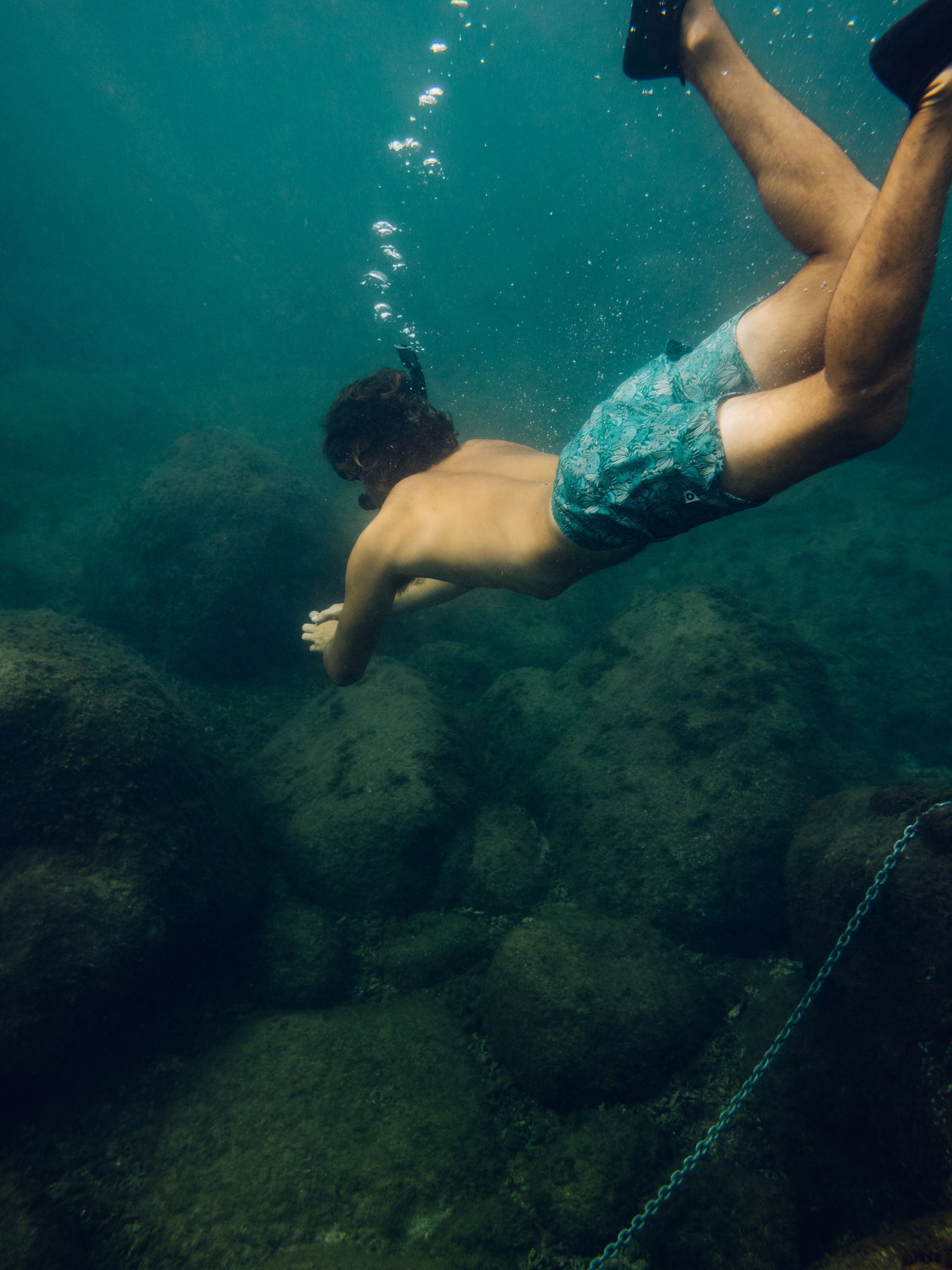 Scallop Trunks - 30 - Mollusk Surf Shop