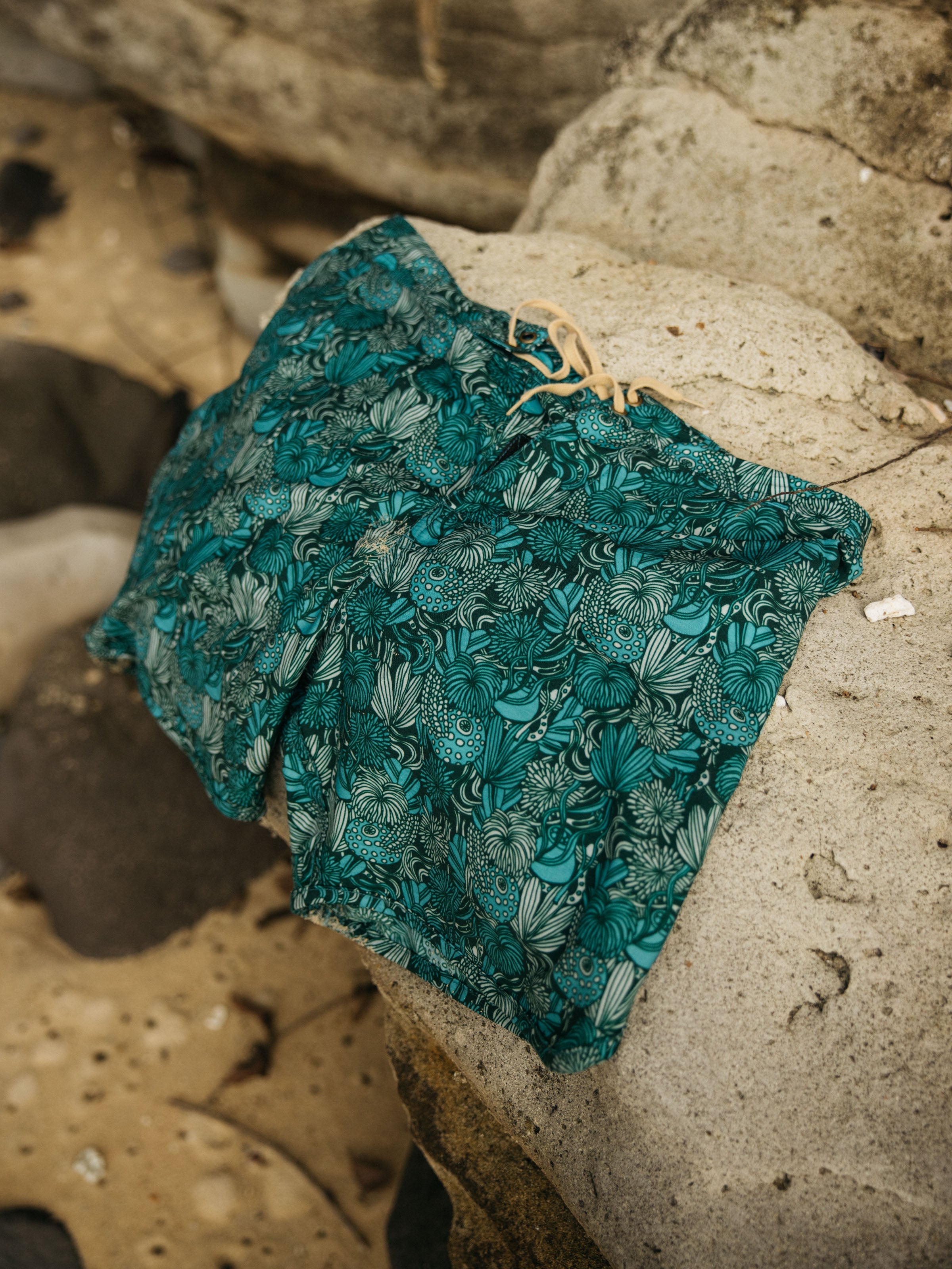 Scallop Trunks - 30 - Mollusk Surf Shop