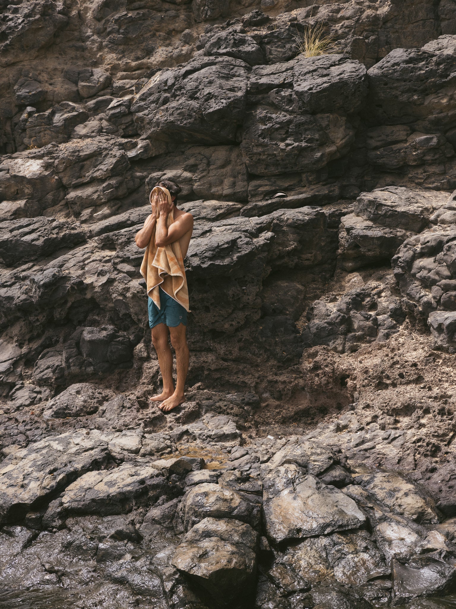 Scallop Trunks - 30 - Mollusk Surf Shop