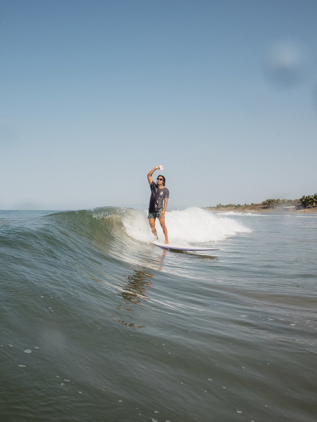 Scallop Trunks - 30.0 - Mollusk Surf Shop