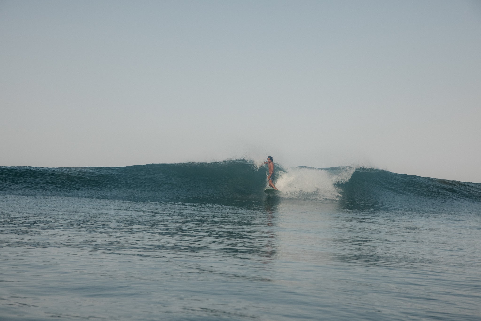Scallop Trunks - 30.0 - Mollusk Surf Shop