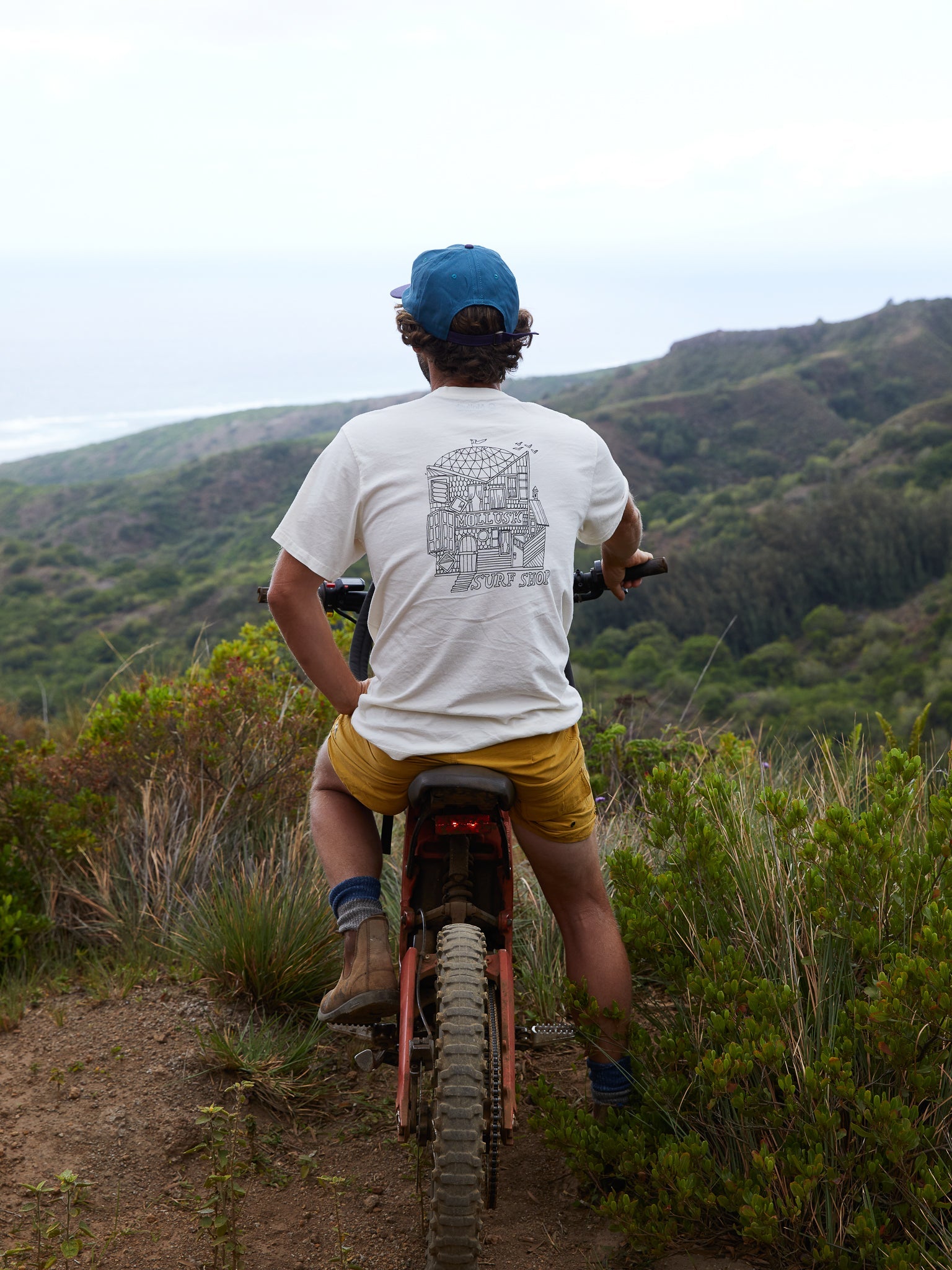 Shack Tee - S - Mollusk Surf Shop - description