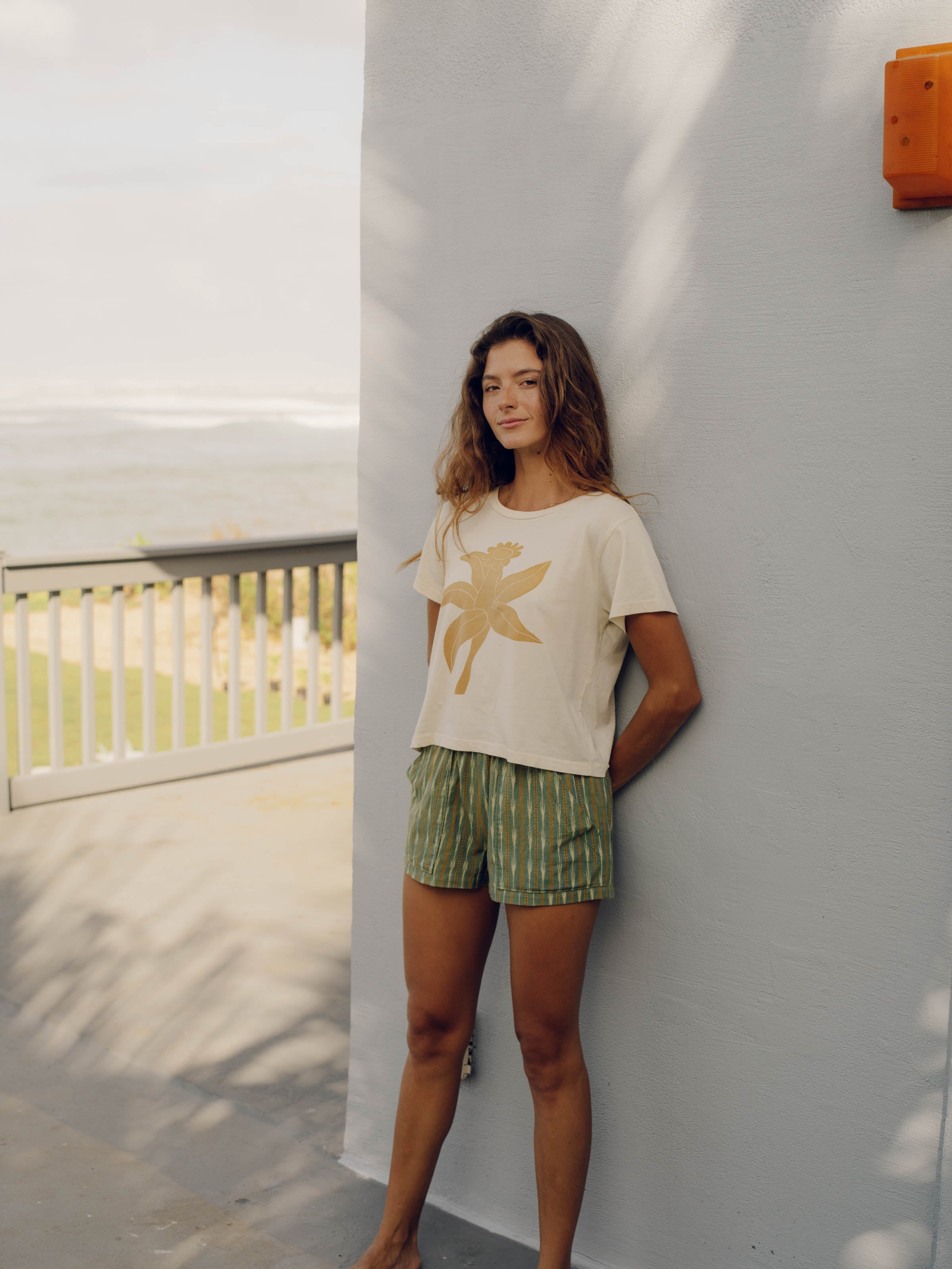 Shell Shorts - XS - Mollusk Surf Shop