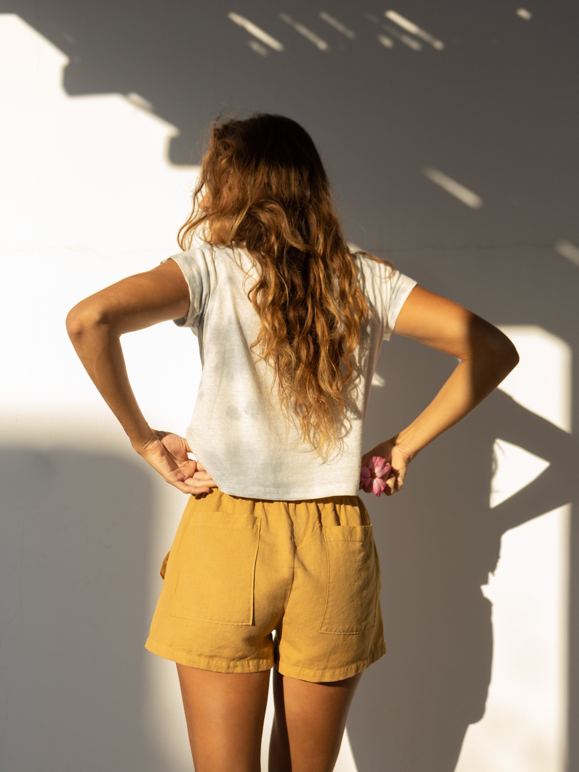 Shell Shorts - XS - Mollusk Surf Shop