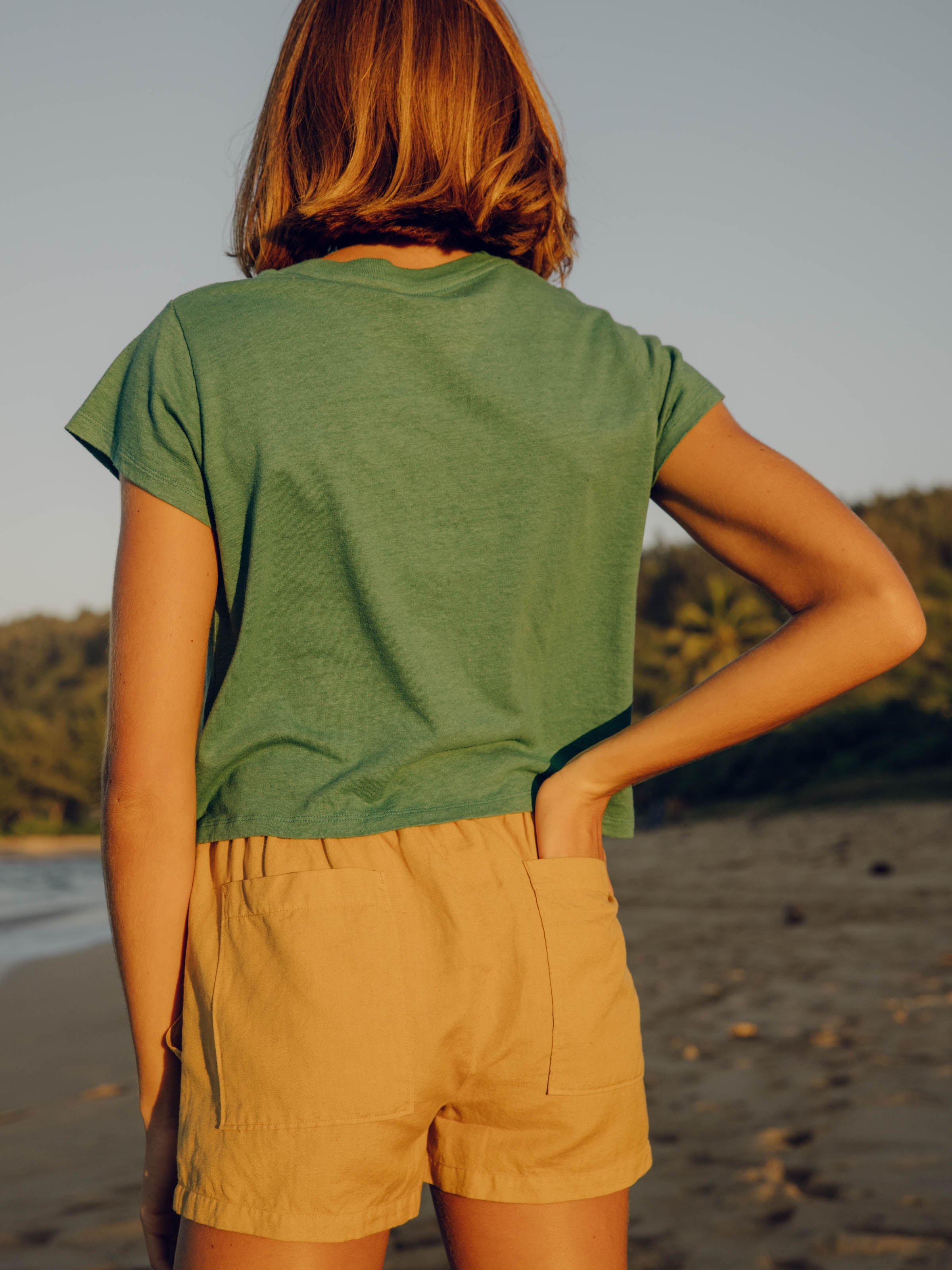 Shell Shorts - XS - Mollusk Surf Shop