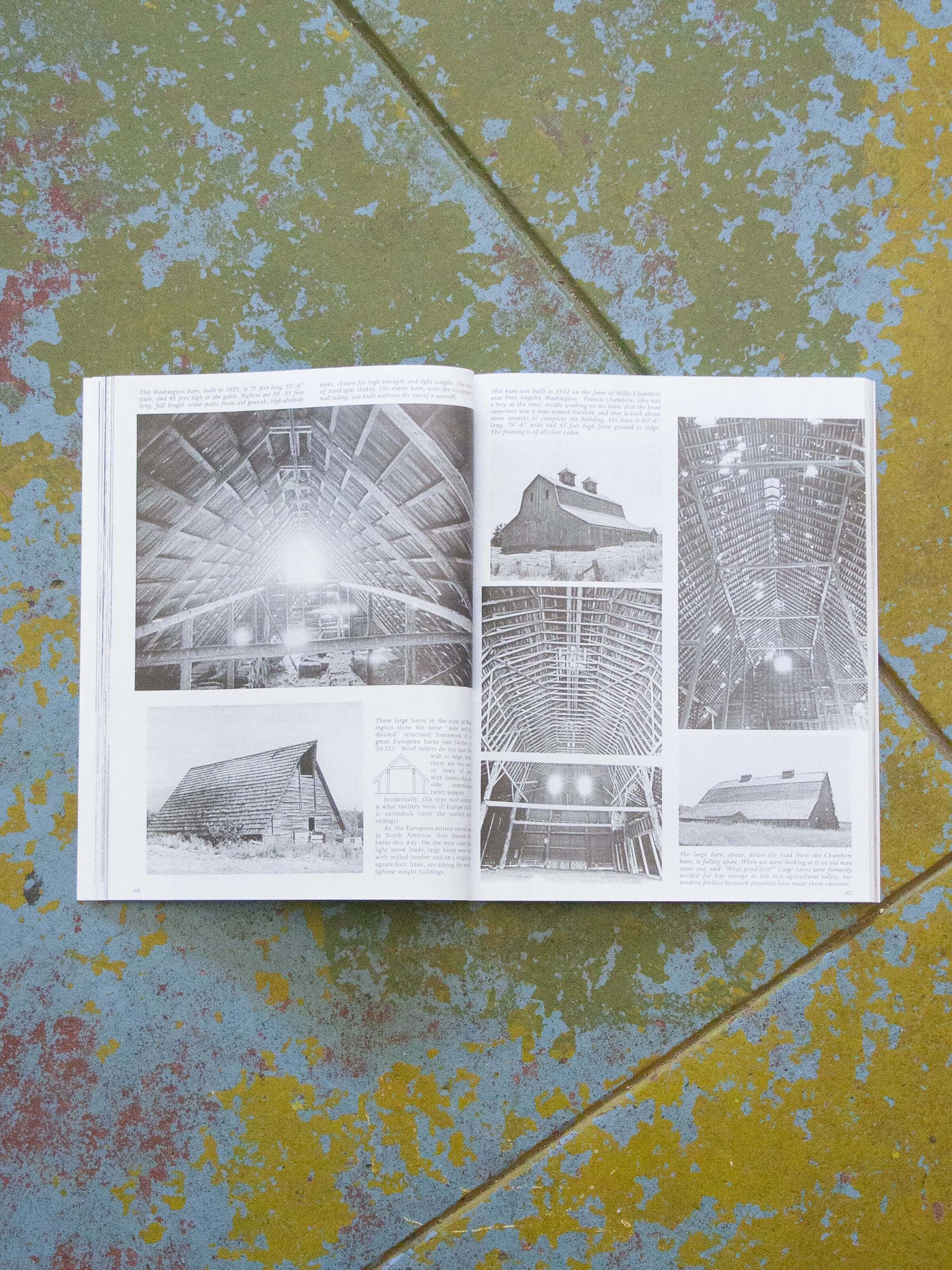 Shelter II - Mollusk Surf Shop