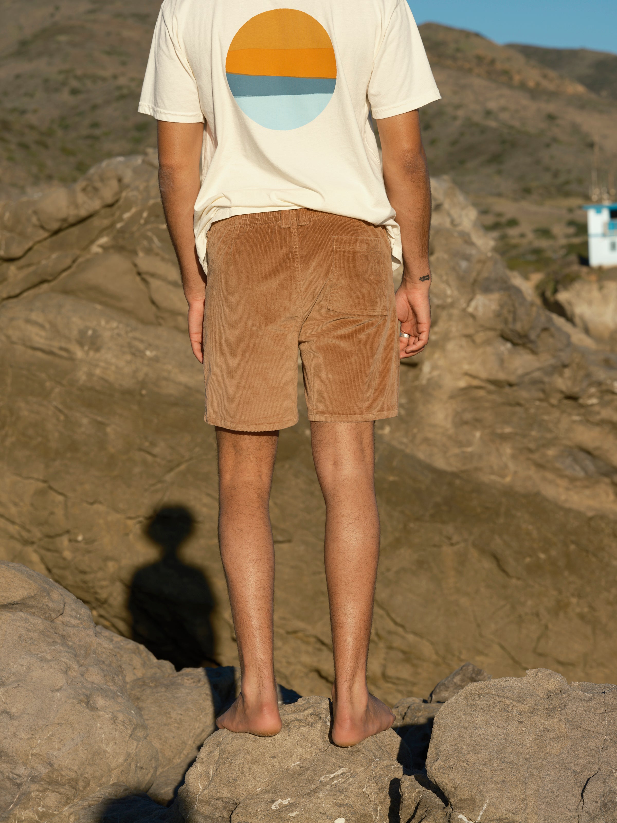 Shroom Shorts - S - Mollusk Surf Shop