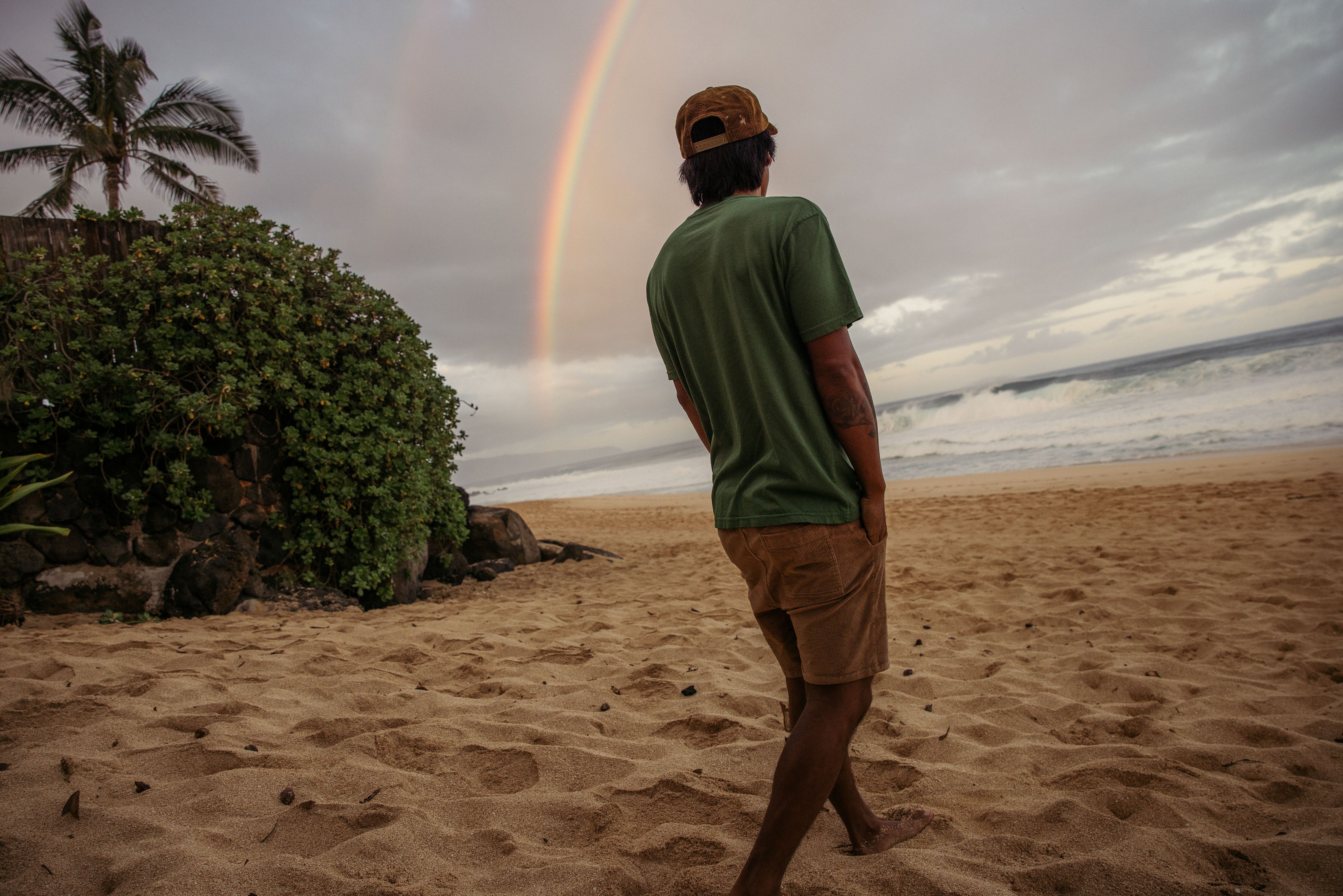 Shroom Shorts - S - Mollusk Surf Shop