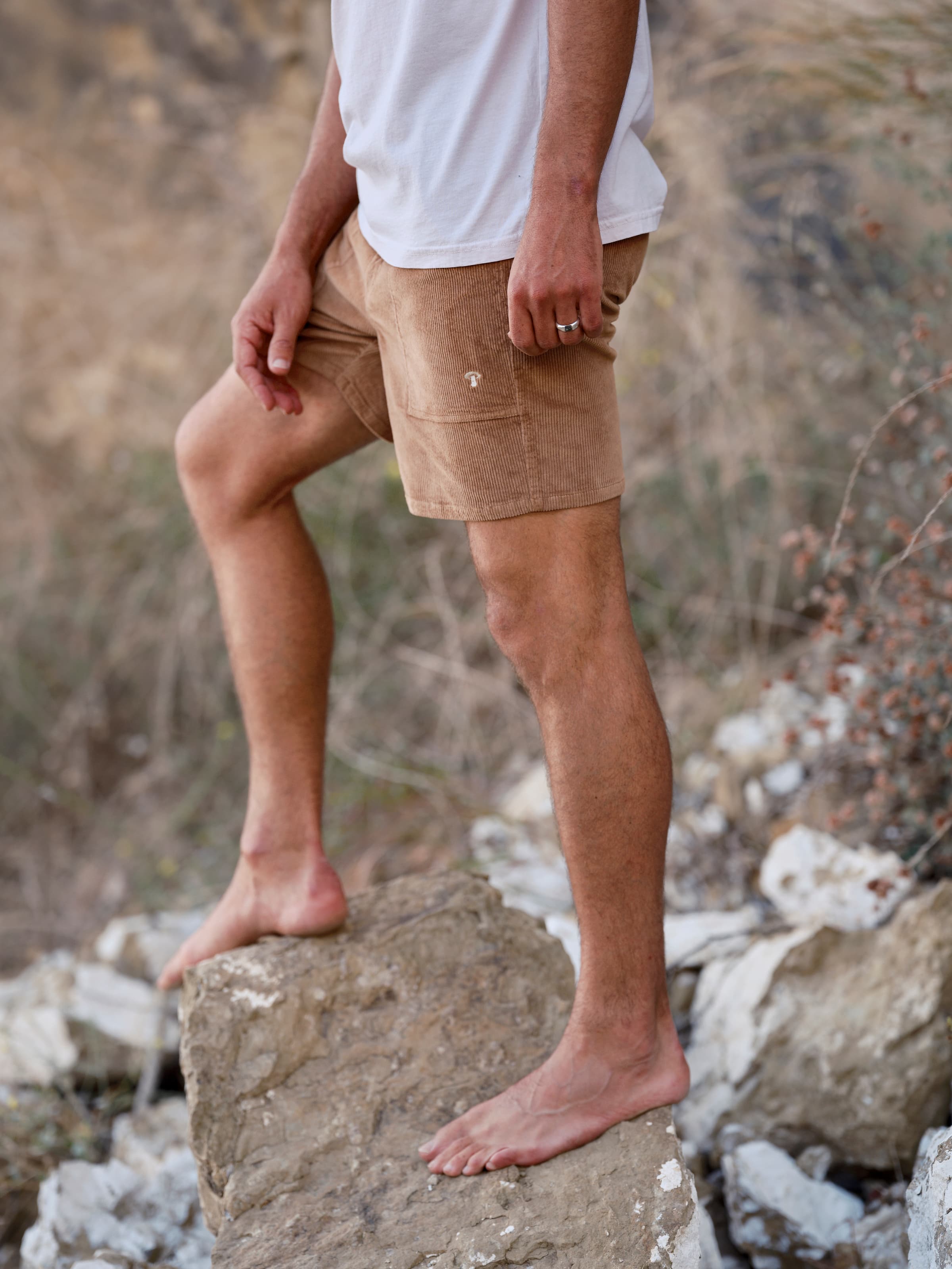 Shroom Shorts - S - Mollusk Surf Shop