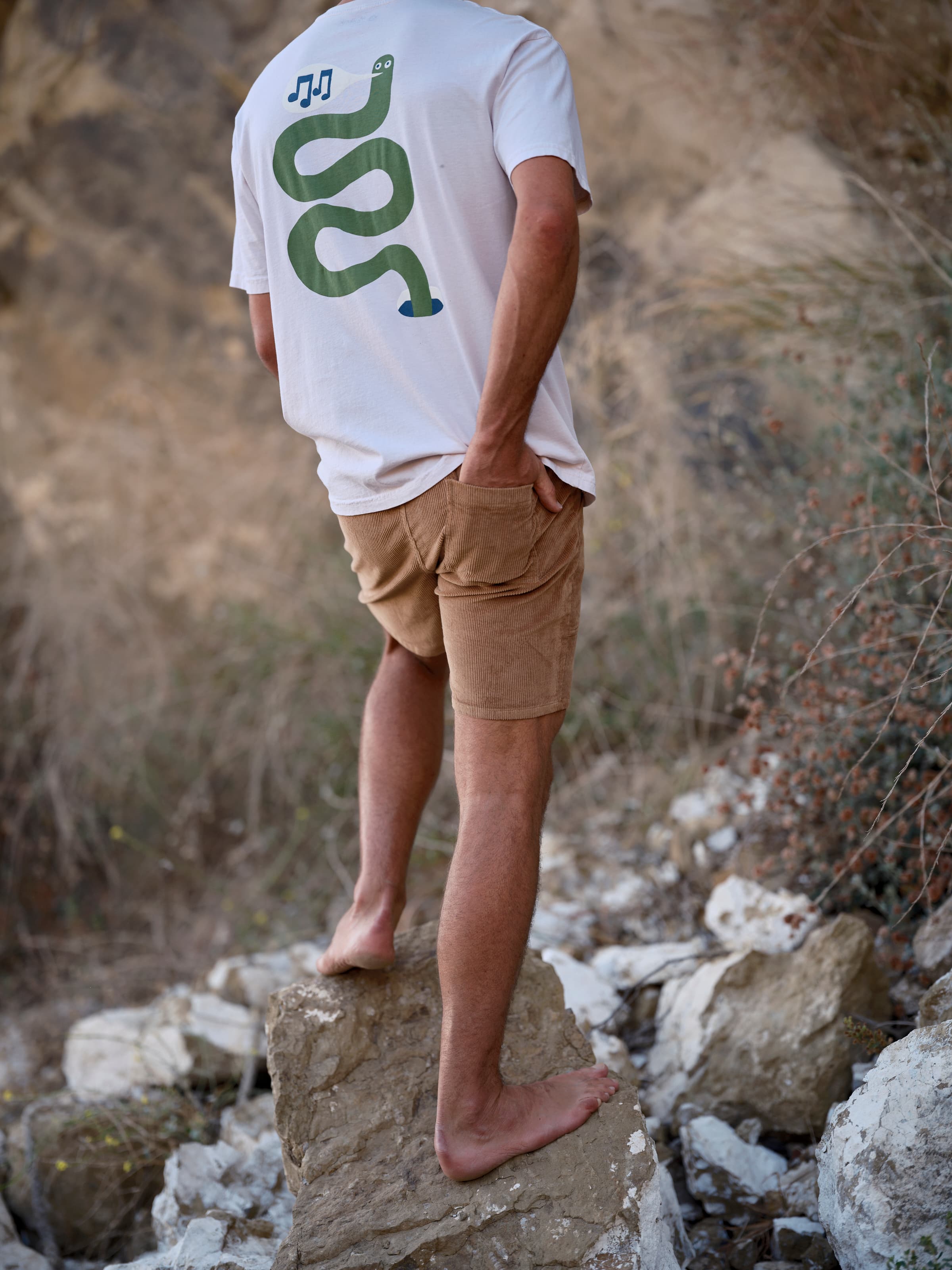 Shroom Shorts - S - Mollusk Surf Shop