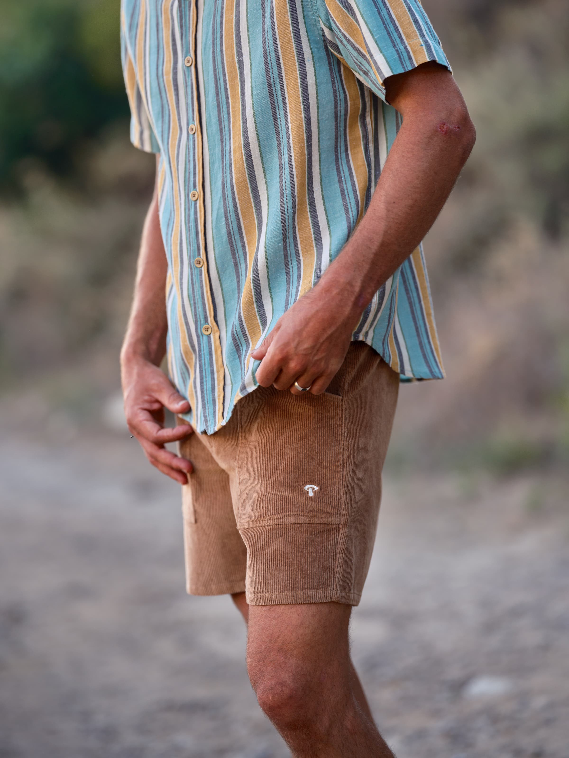 Shroom Shorts - S - Mollusk Surf Shop