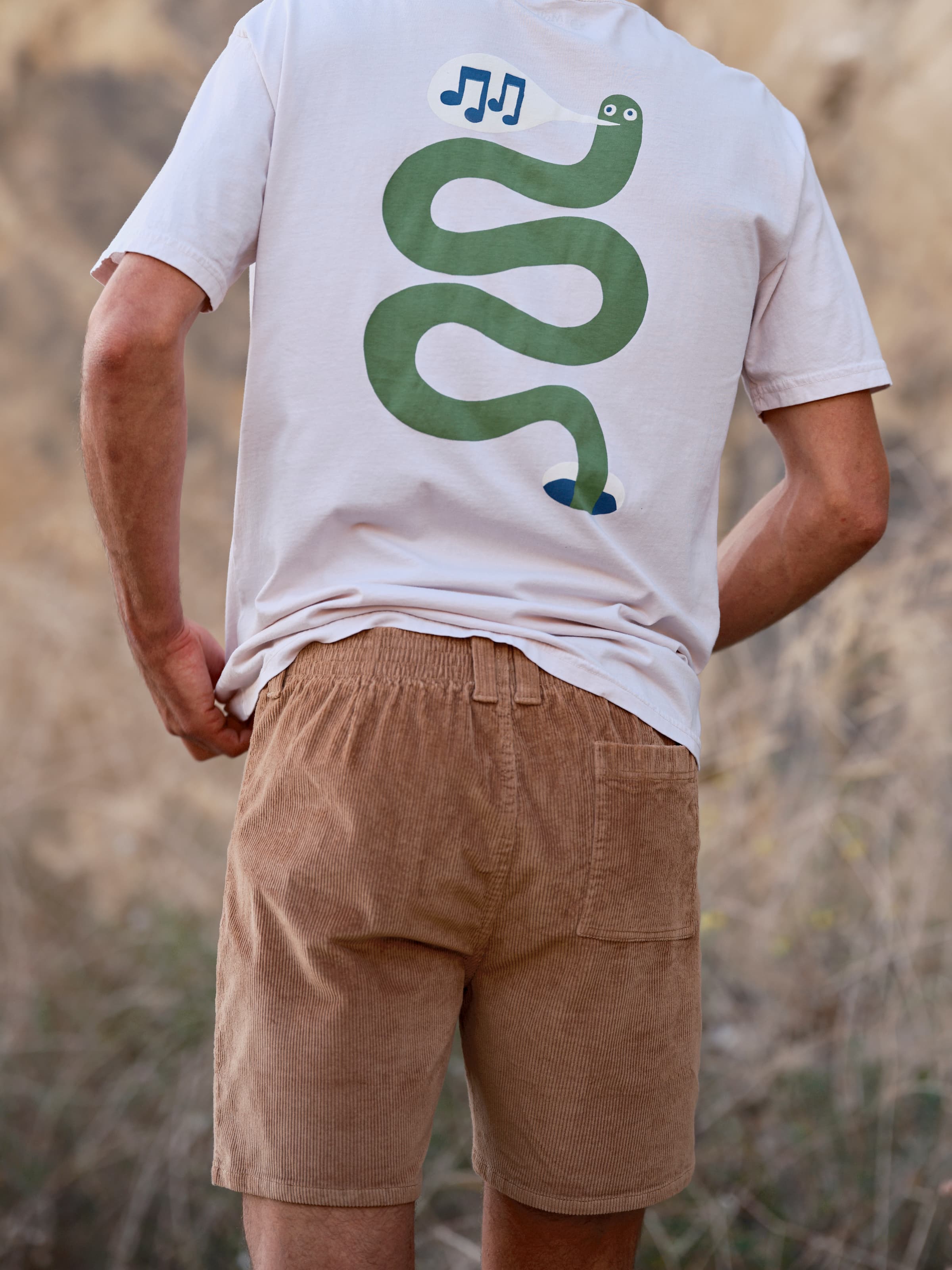 Shroom Shorts - S - Mollusk Surf Shop