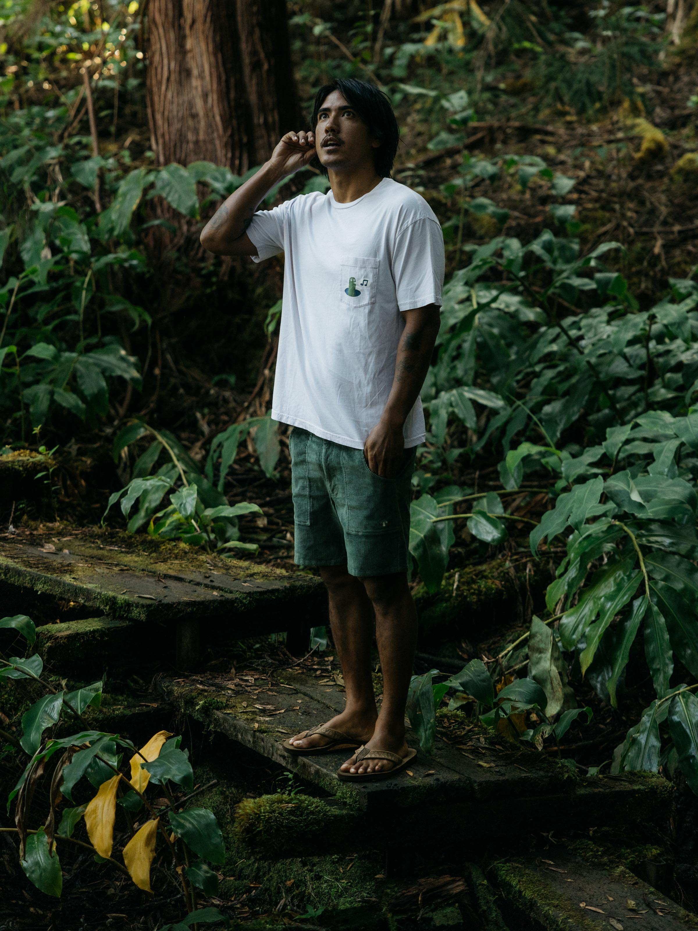 Shroom Shorts - S - Mollusk Surf Shop