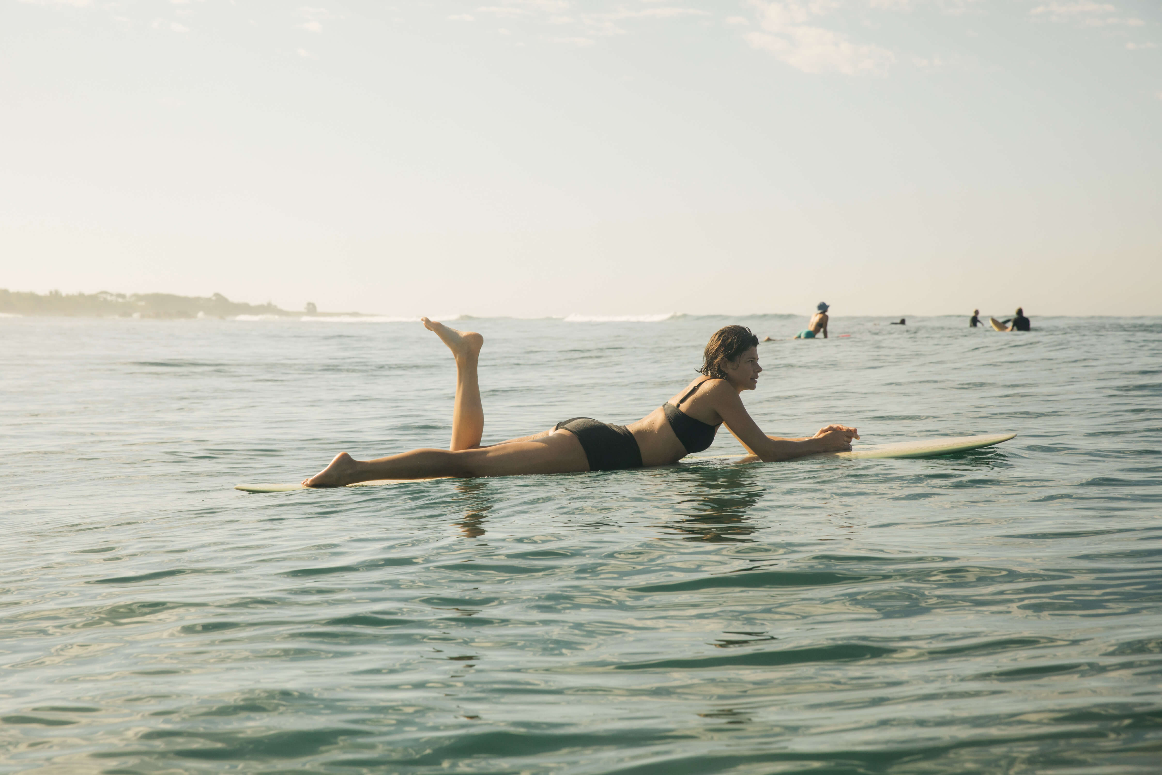 Sisterhood Surf Shorts - XS - Mollusk Surf Shop