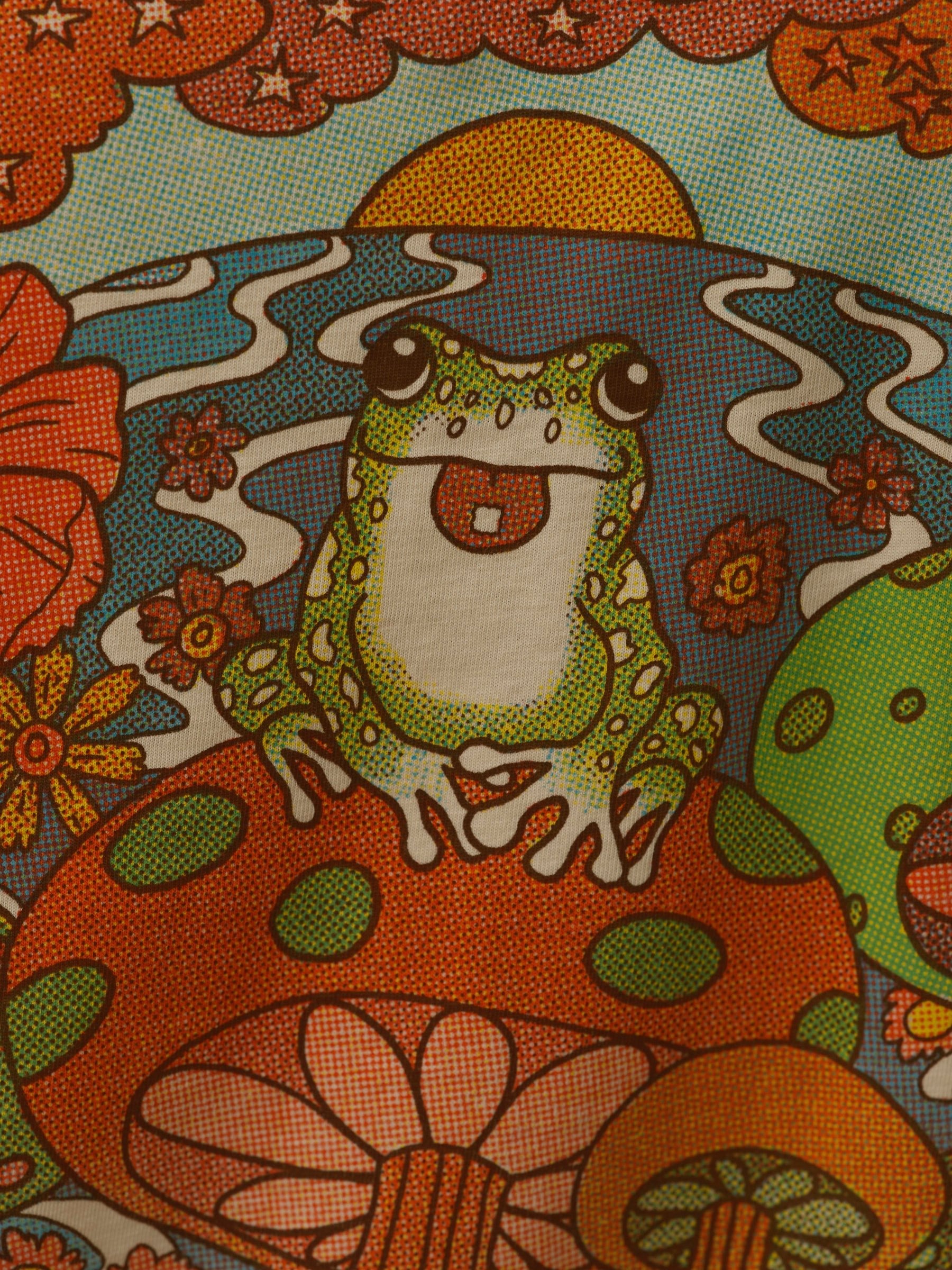 Snail Frog Tee - S - Mollusk Surf Shop - description