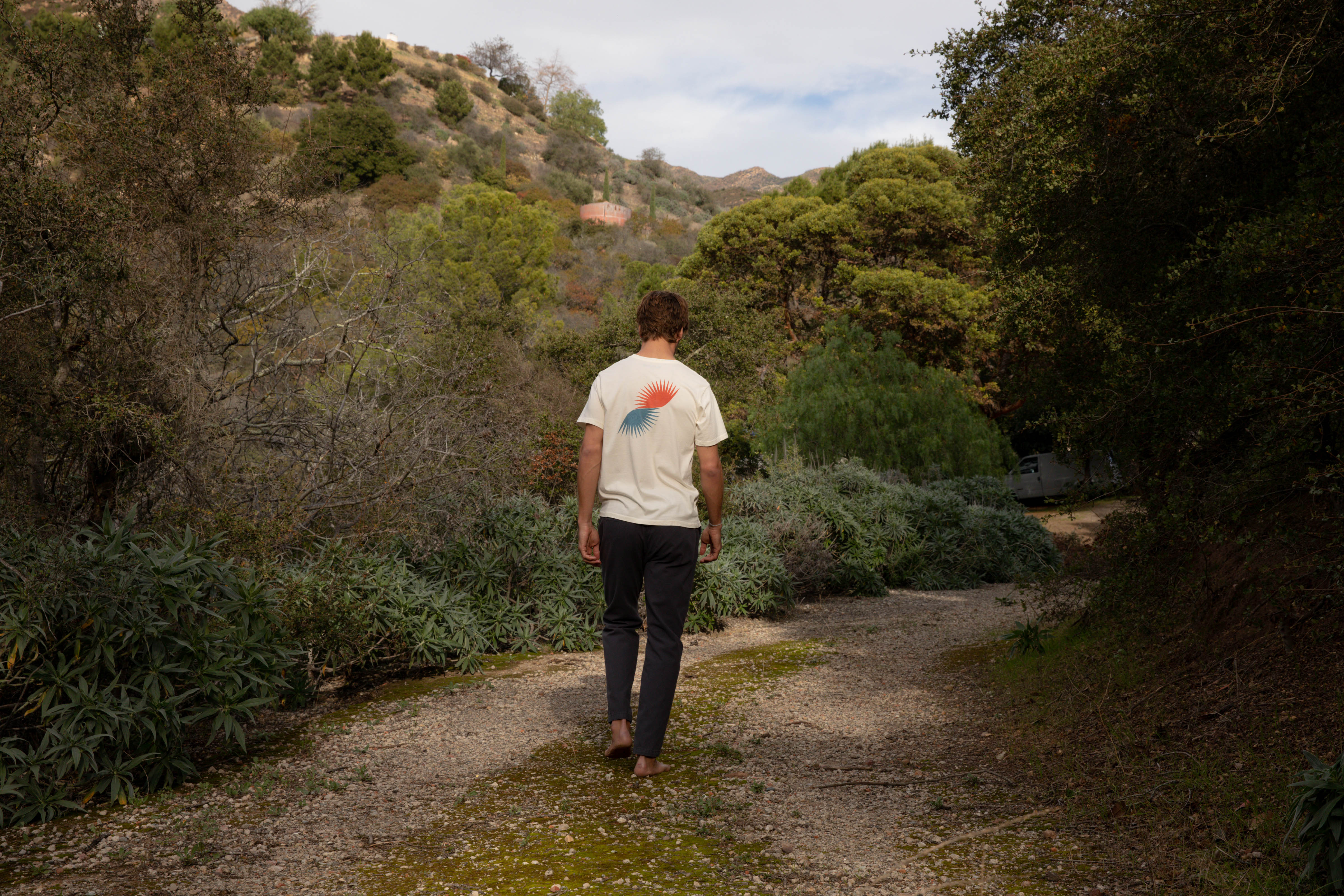 Split Sun Tee - S - Mollusk Surf Shop