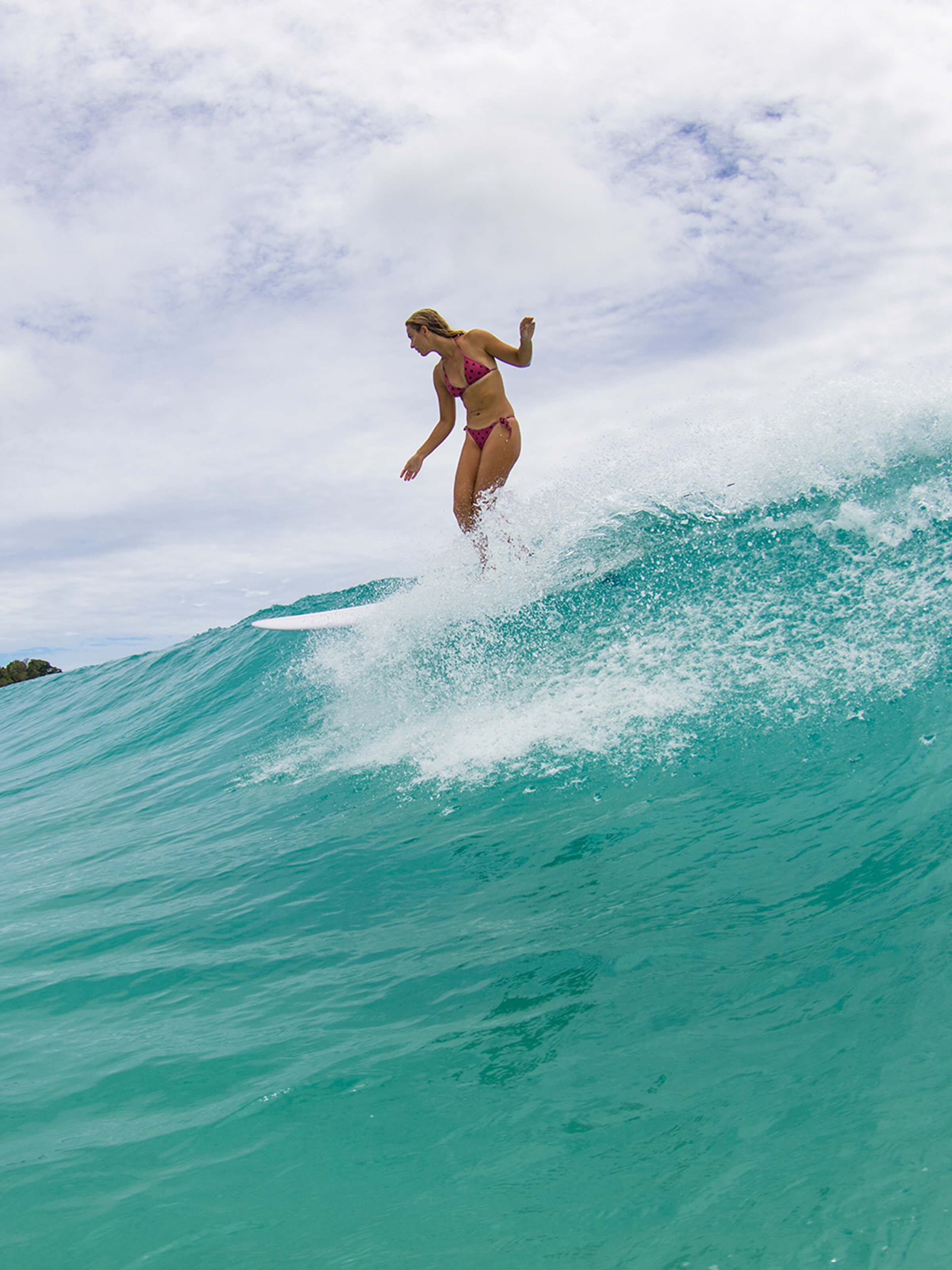 String Theory Bikini Top - XS - Mollusk Surf Shop