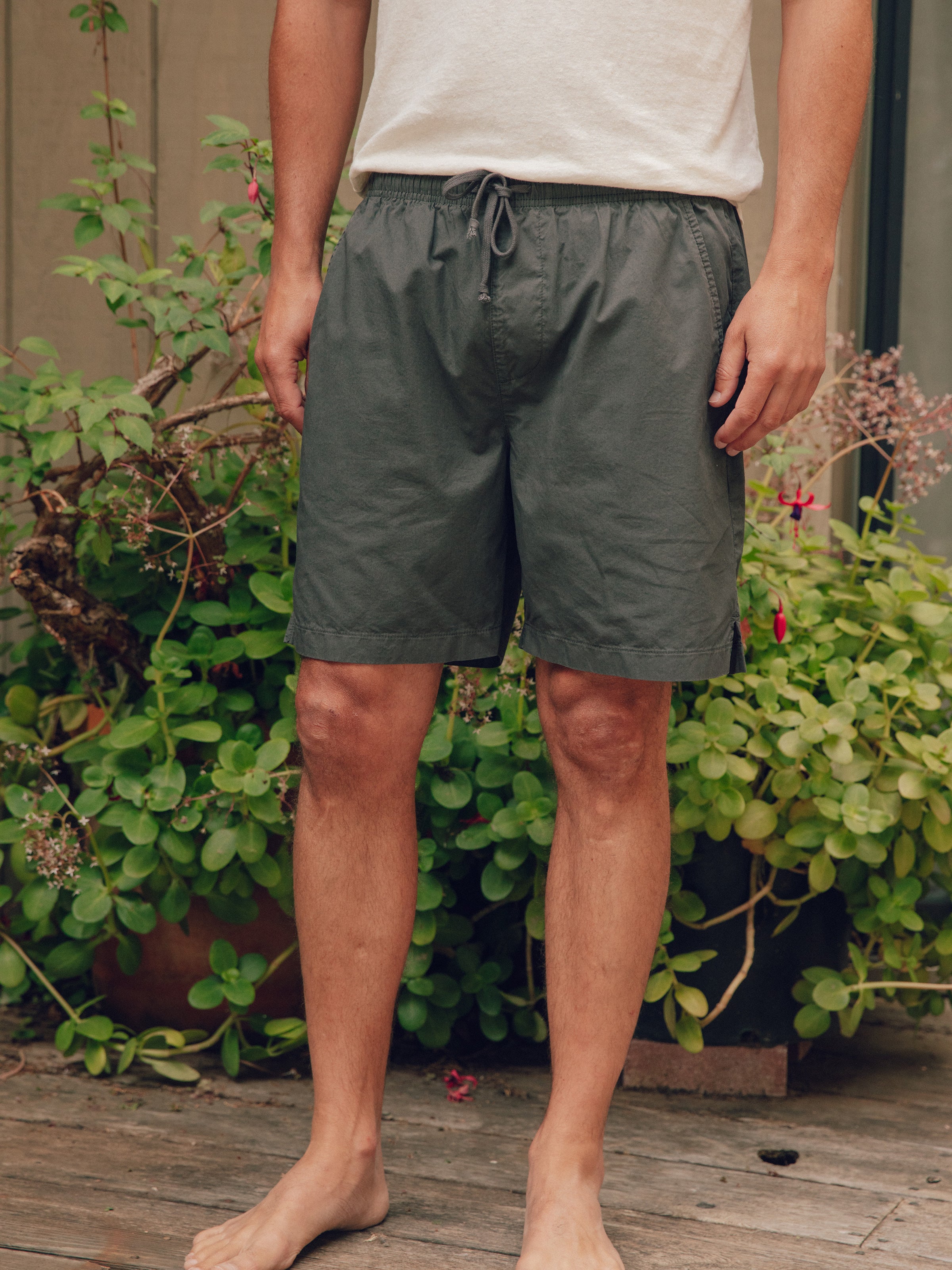 Summer Shorts - S - Mollusk Surf Shop