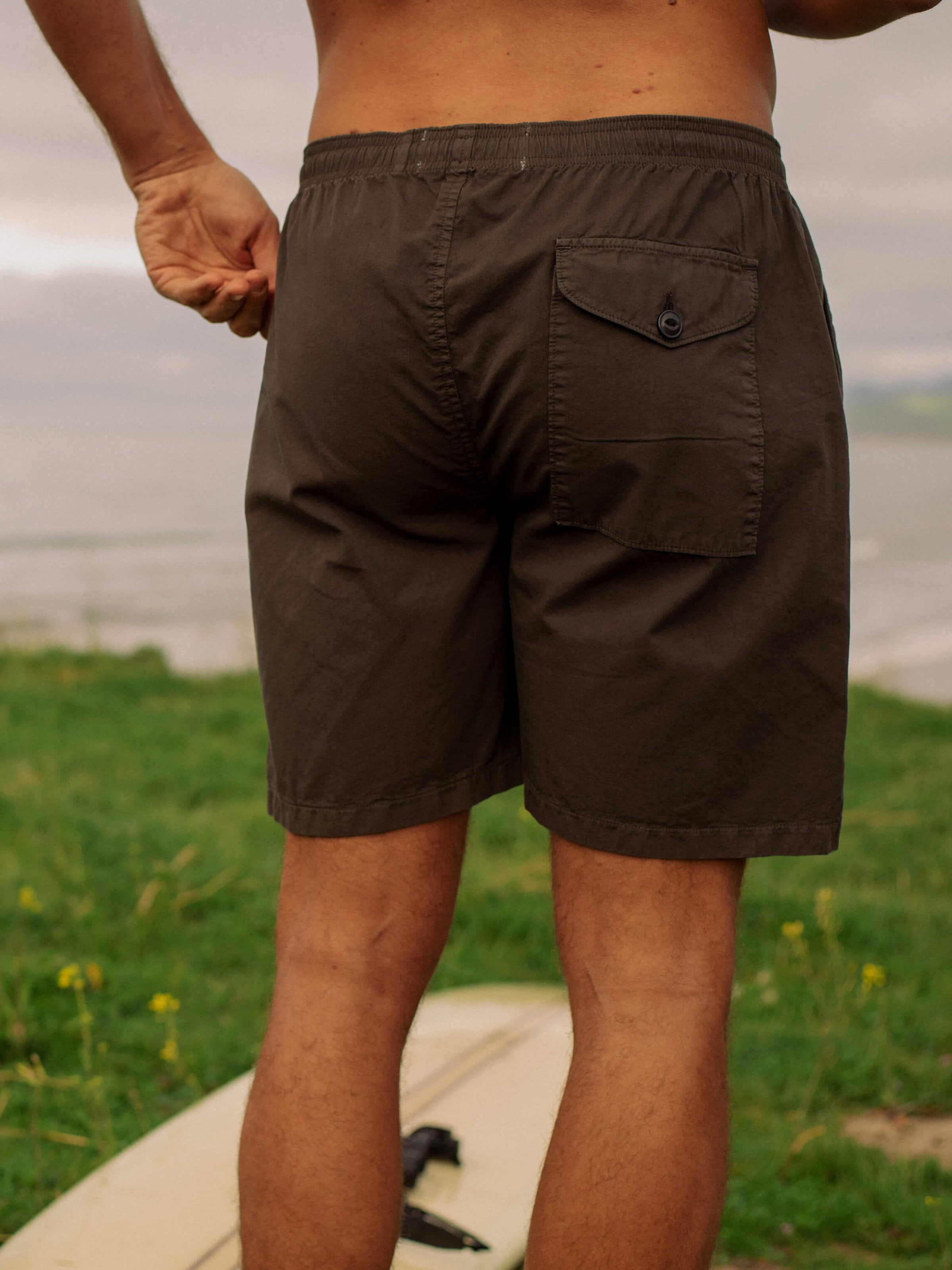 Summer Shorts - S - Mollusk Surf Shop