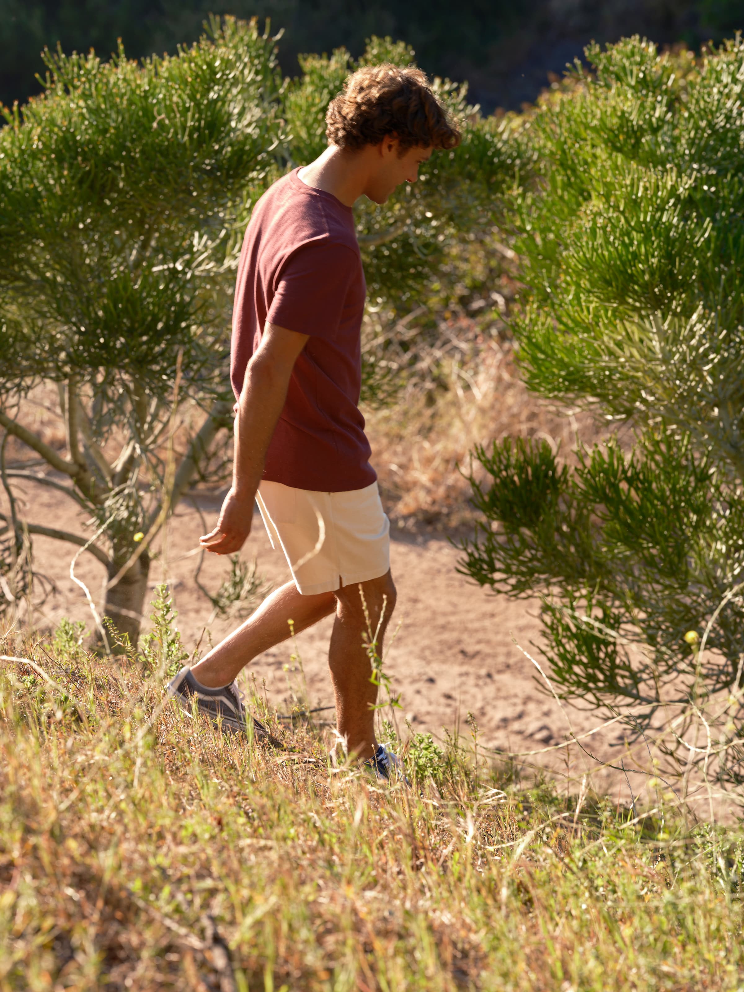Summer Shorts - S - Mollusk Surf Shop