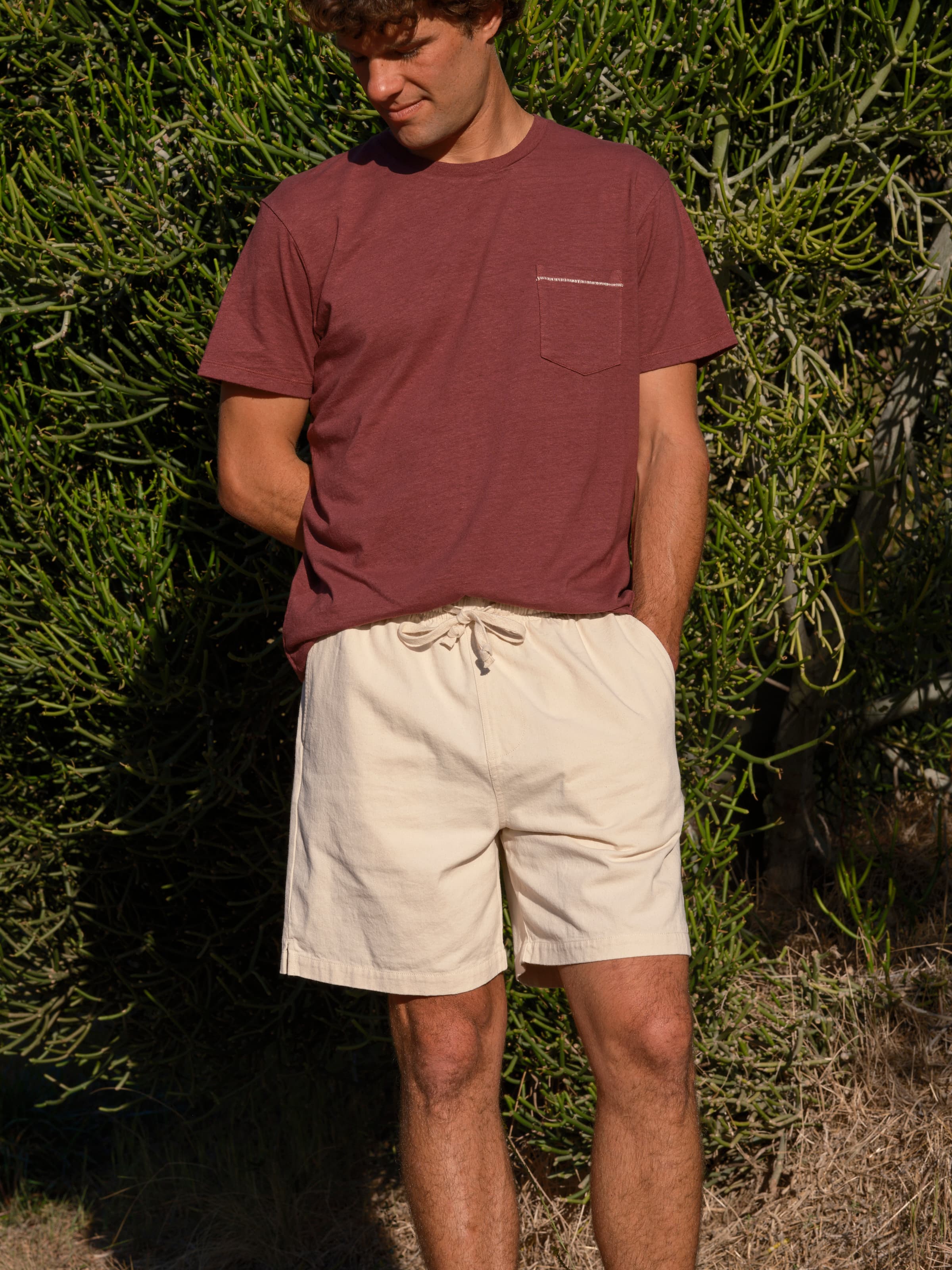 Summer Shorts - S - Mollusk Surf Shop
