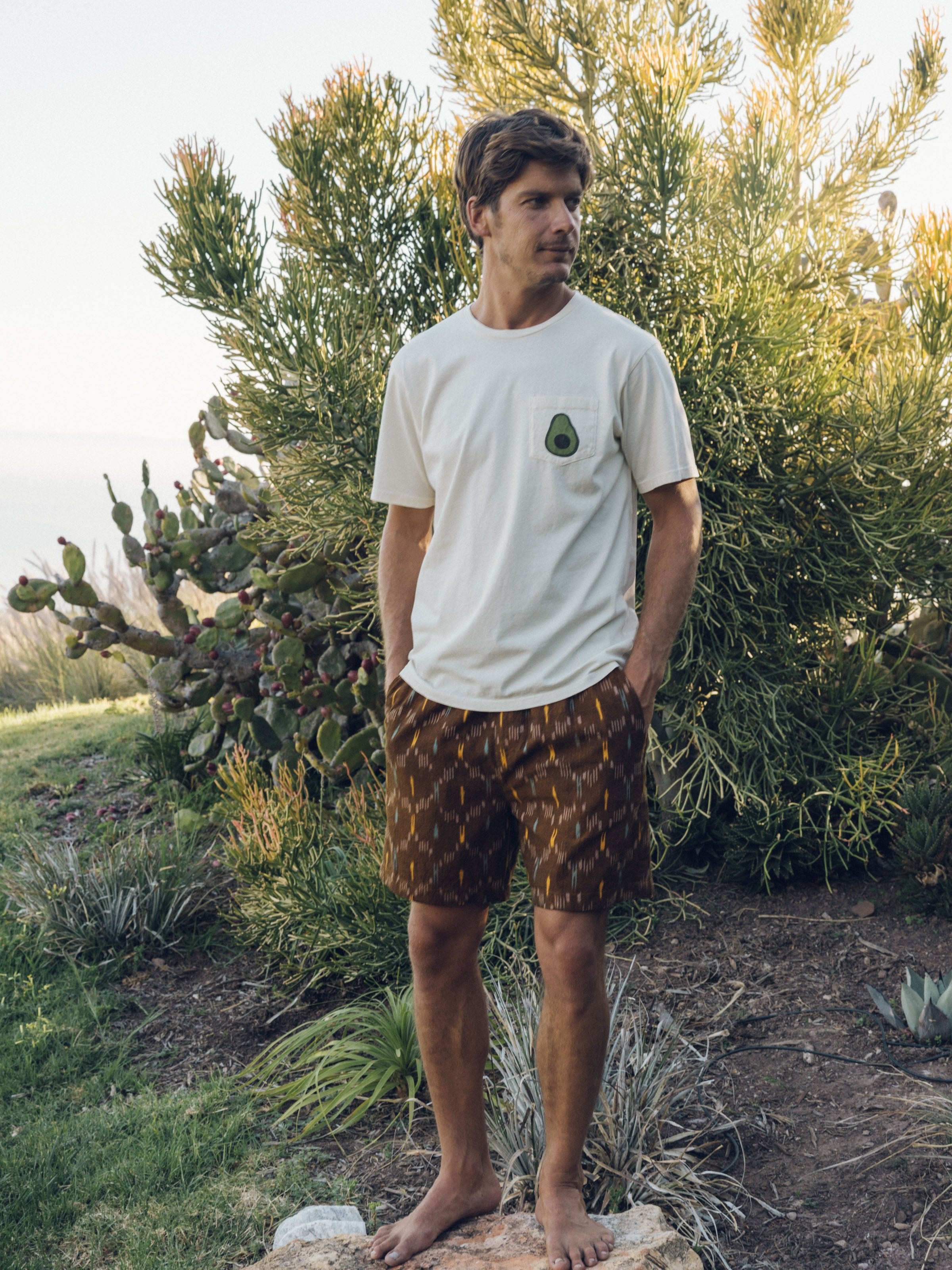 Summer Shorts - S - Mollusk Surf Shop