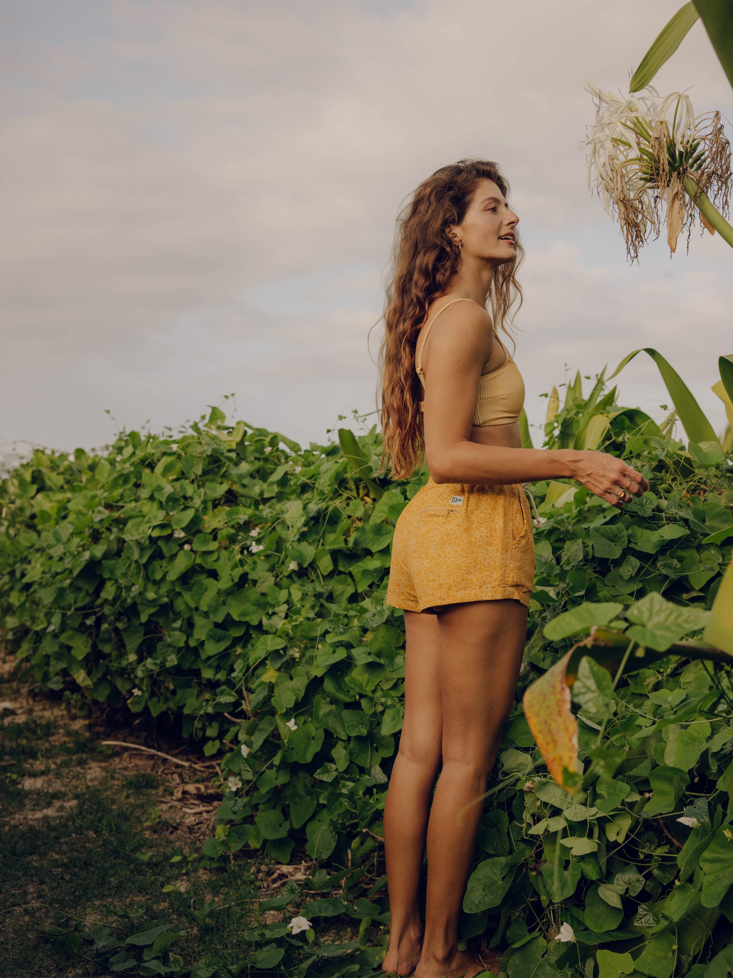 Tomboy Trunks - XS - Mollusk Surf Shop