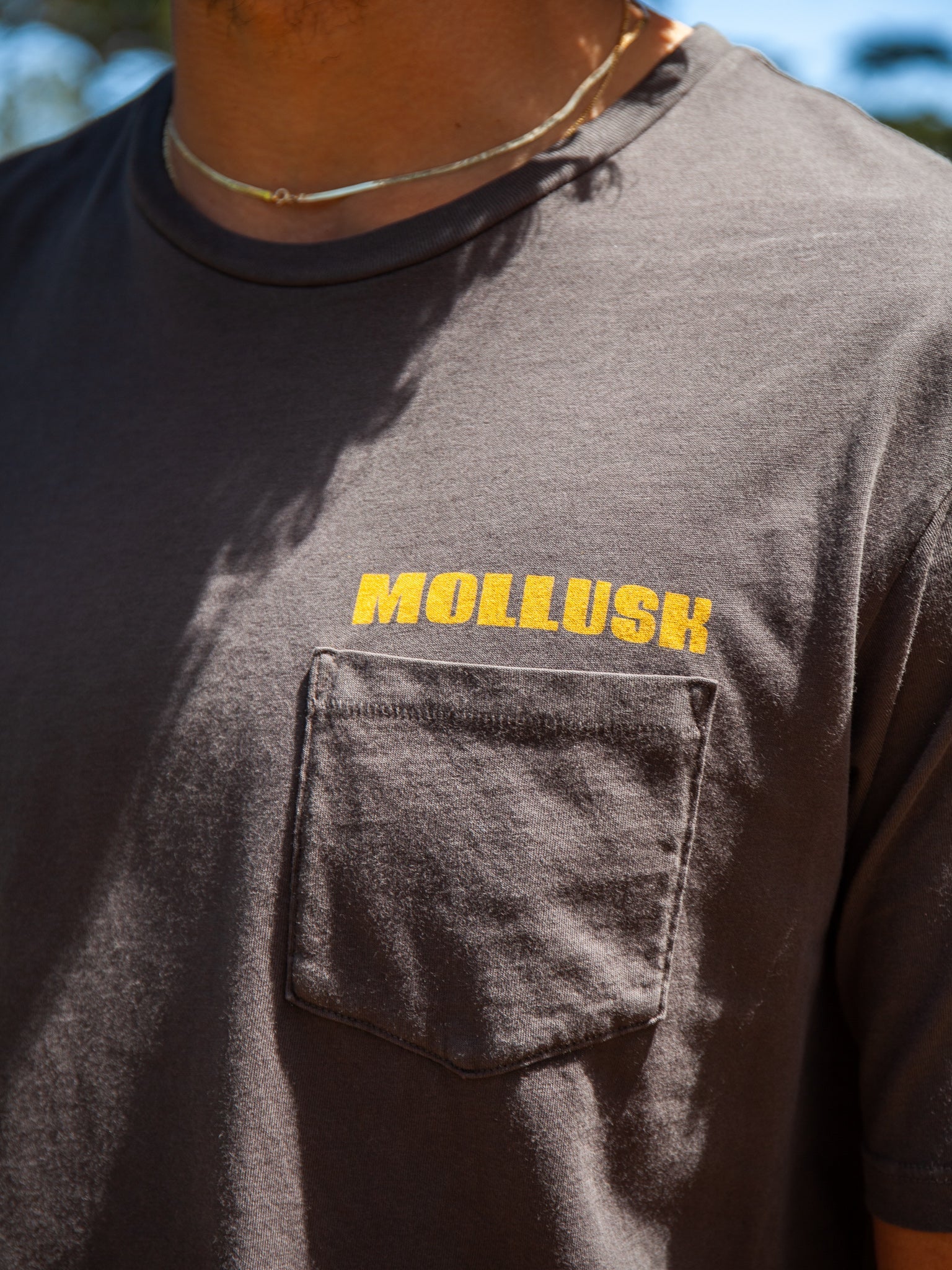 Transition Tee - S - Mollusk Surf Shop