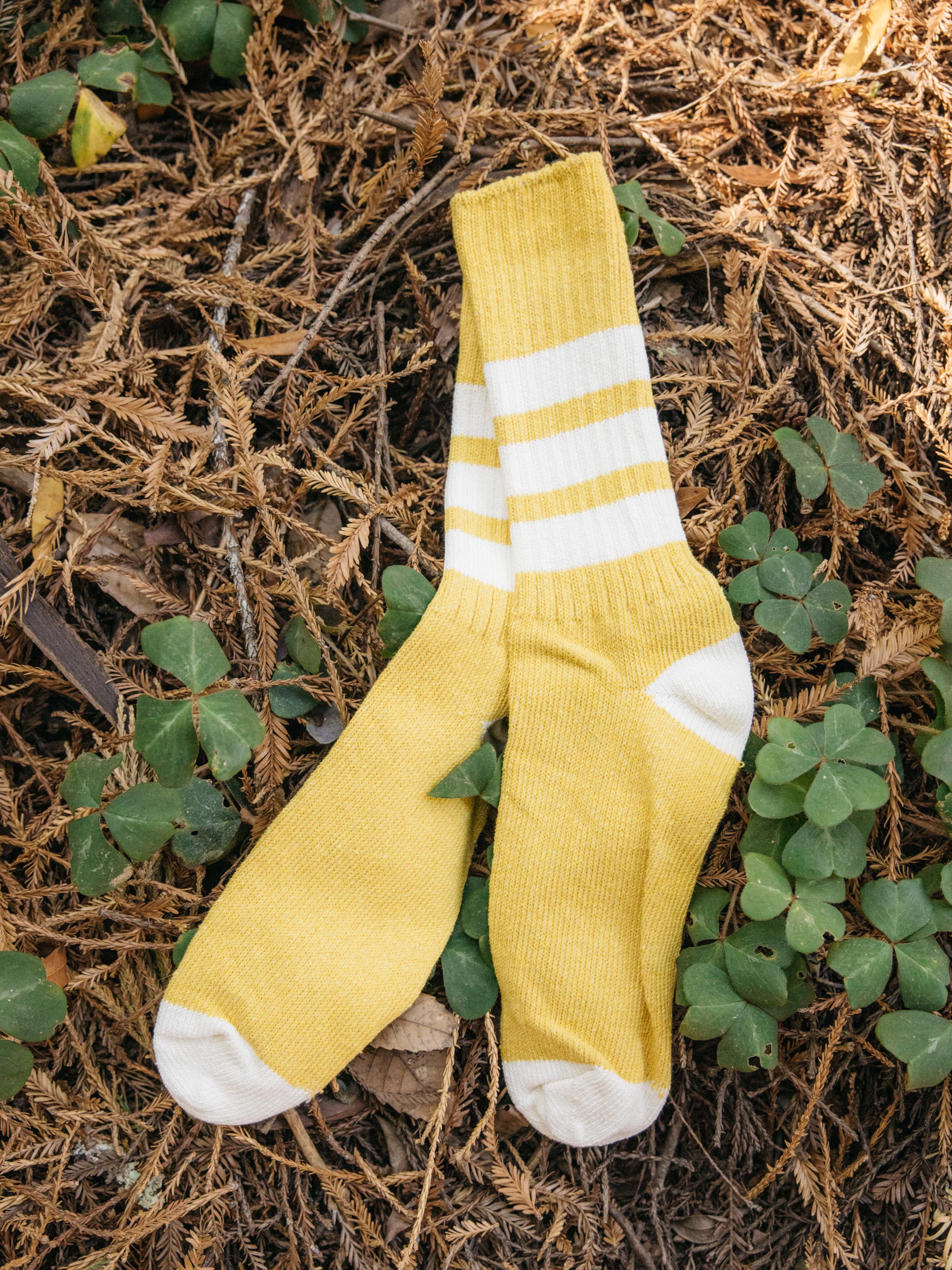 Utility Sock - OS - Mollusk Surf Shop