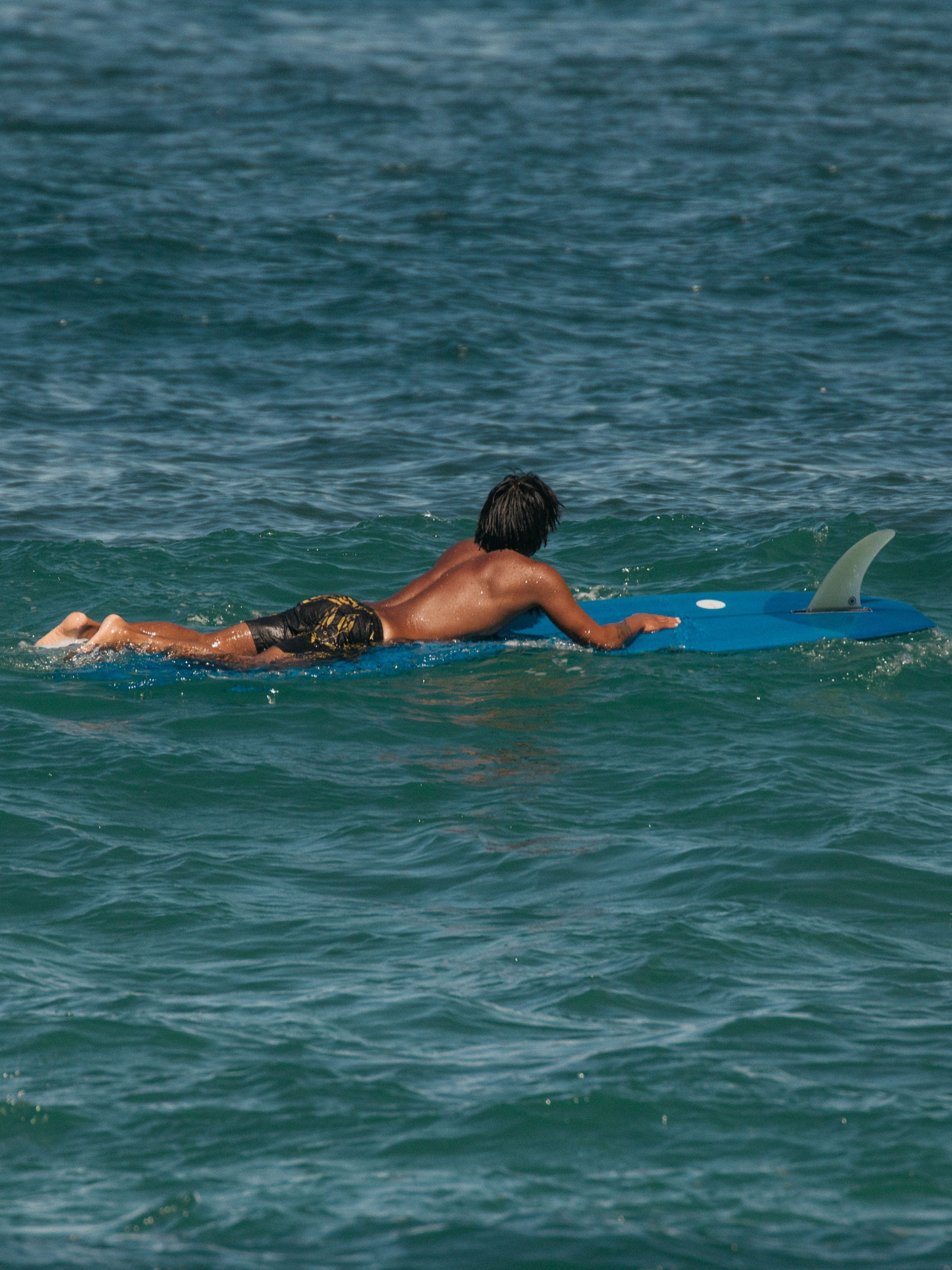 Vacation Trunks - S - Mollusk Surf Shop