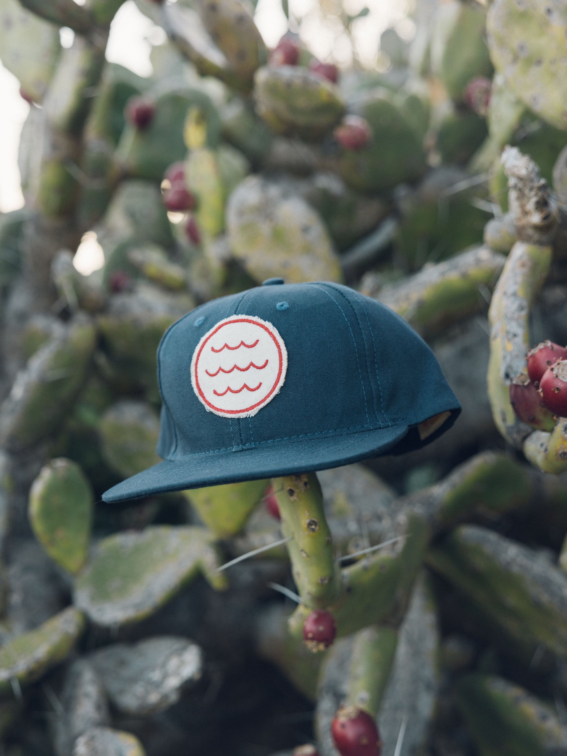 Wave Patch Hat - OS - Mollusk Surf Shop - description