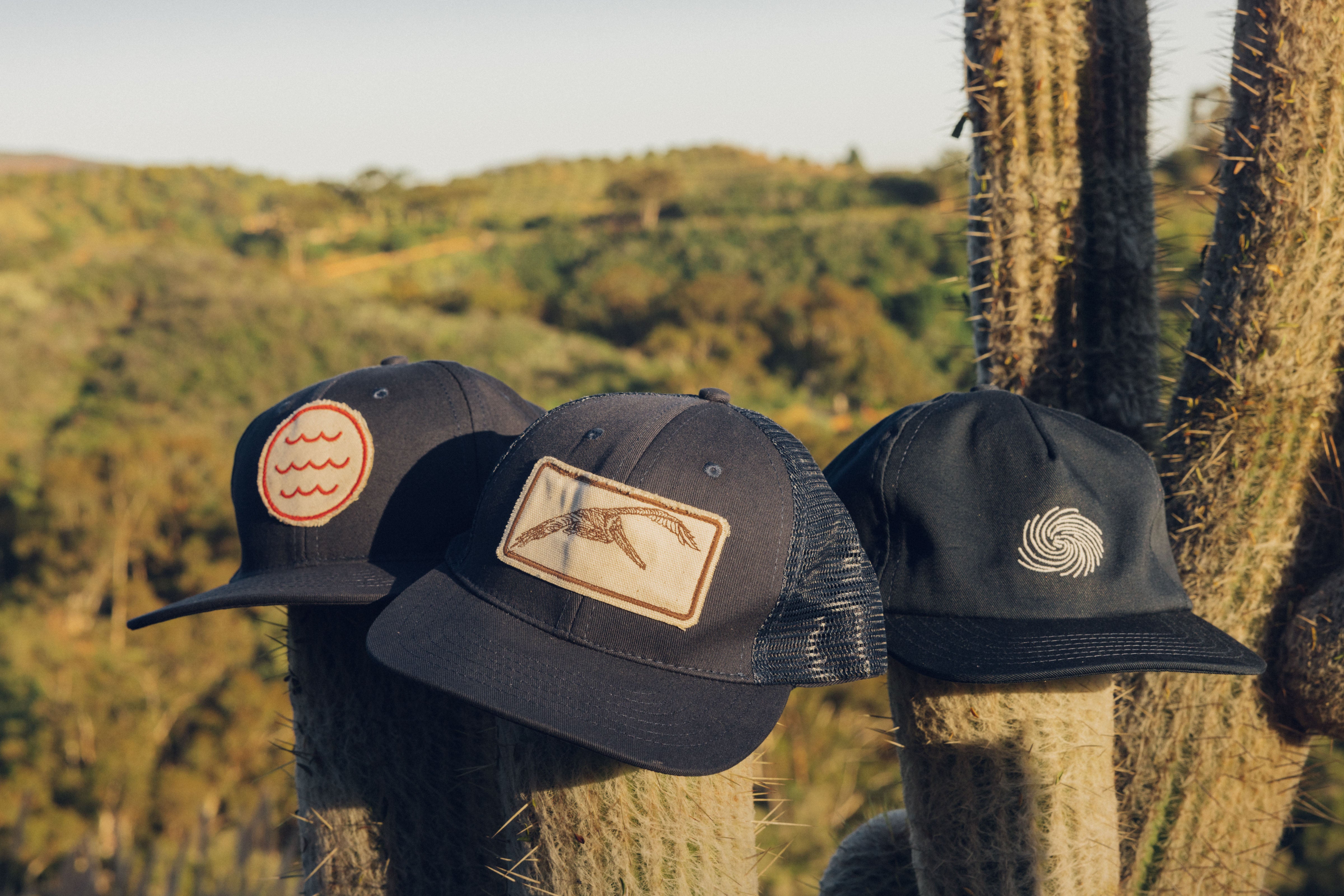 Wave Patch Hat - OS - Mollusk Surf Shop