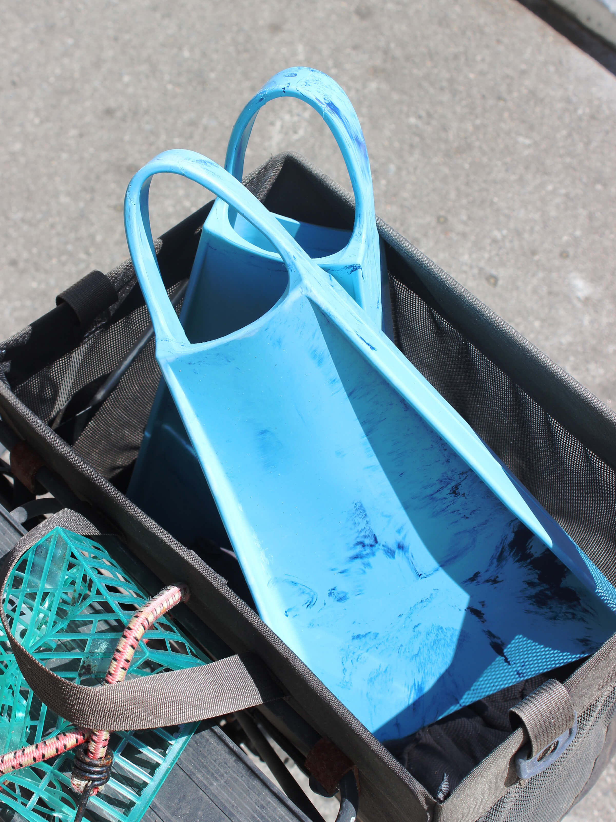 Yucca Standard Flex Fins - Life Aquatic - XS - Mollusk Surf Shop